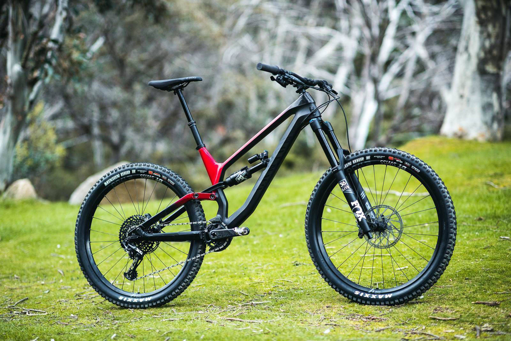 Mountain Bike 桌布 壁紙 — 一架時尚的黑色和紅色全避震登山車，矗立在充滿活力的綠色草地上，背景是模糊的樹木。