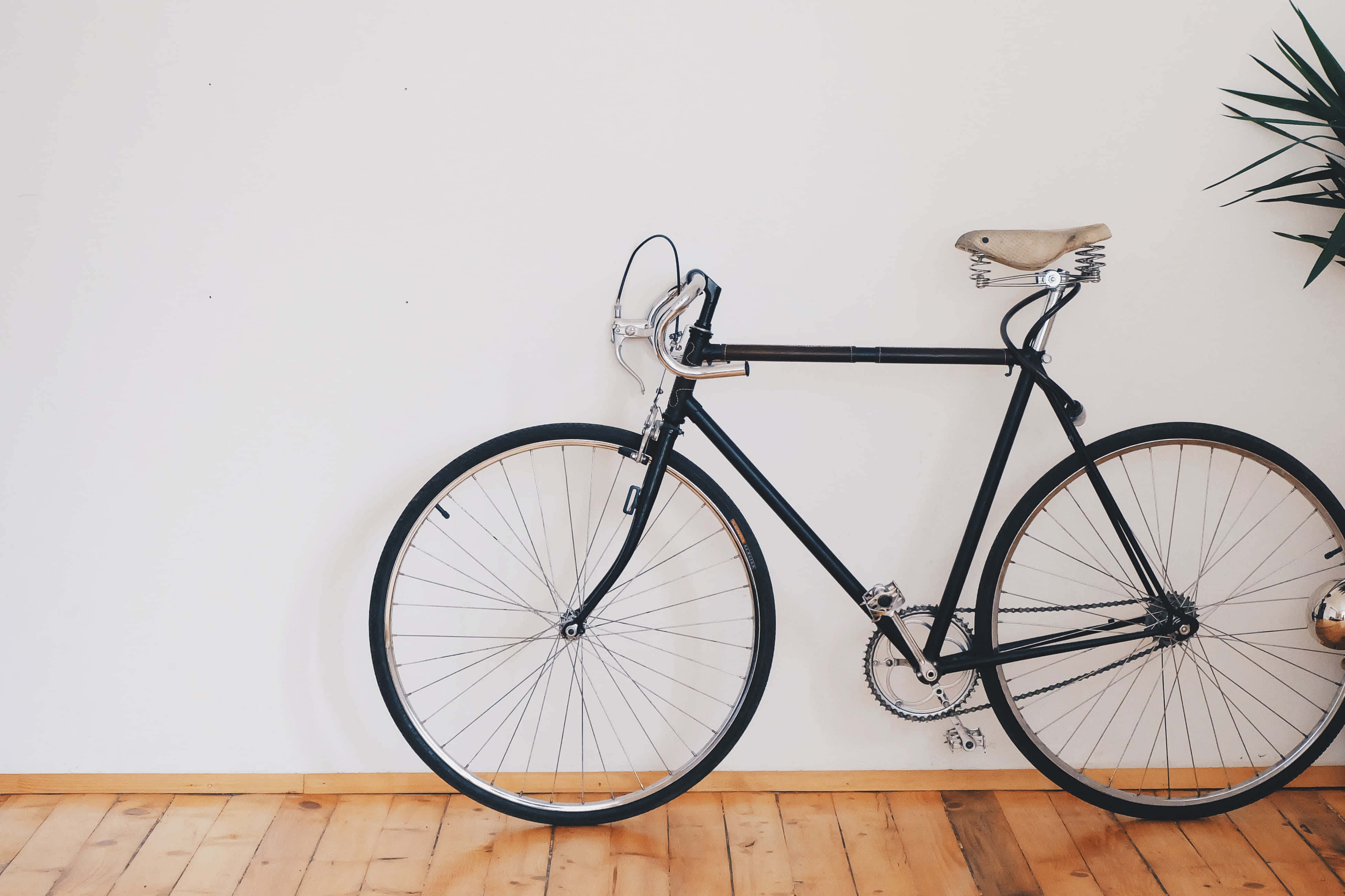 Bicycle 桌布 壁紙 — 一架時尚的黑色固定齒輪自行車，配有棕褐色皮革座椅，靠著白色牆壁，放在木地板上，旁邊有一棵綠色植物。