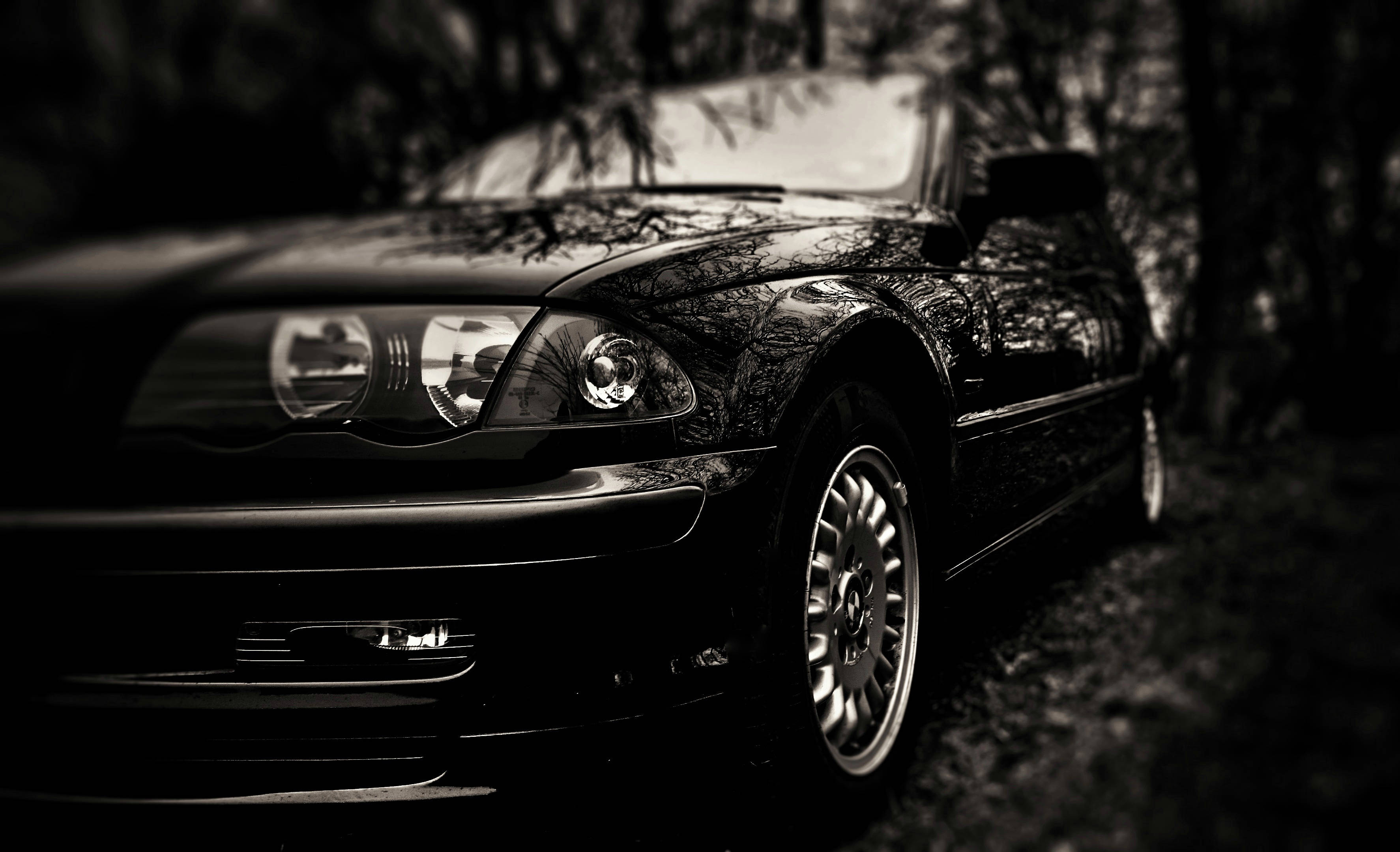 BMW 動圖 桌布 壁紙 — 一架時尚的黑色汽車停泊在昏暗的森林中，樹木的倒影在光亮的引擎蓋上閃爍。