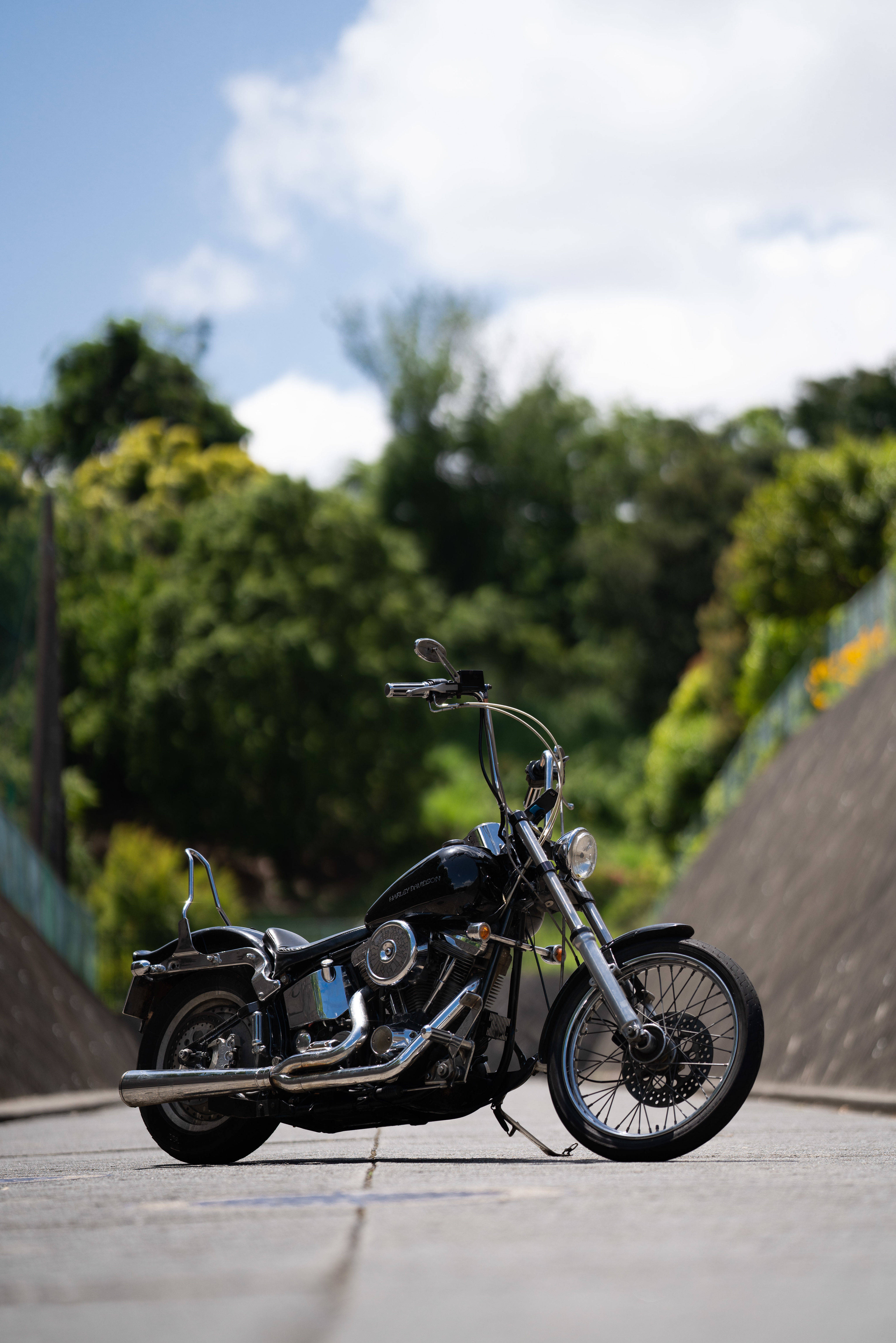 Harley 桌布 壁紙 — 一架時尚黑色chopper機車停在混凝土小徑上，背景有茂密的綠樹和藍天。