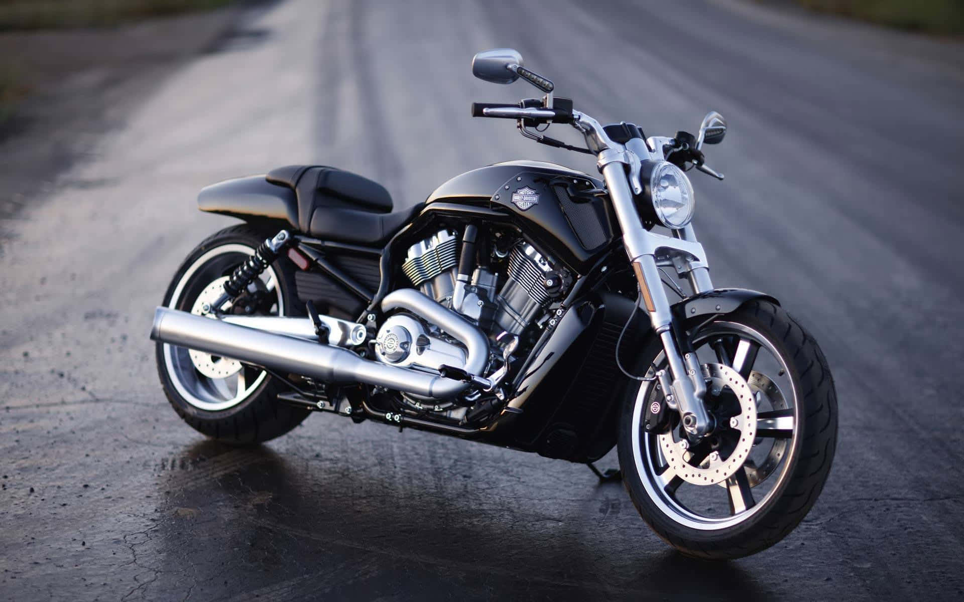 Harley Davidson Motorcycle Free 桌布 壁紙 — 一架時尚黑色訂製摩托車，帶有鍍鉻裝飾，在黃昏時停泊在濕瀝青路上。