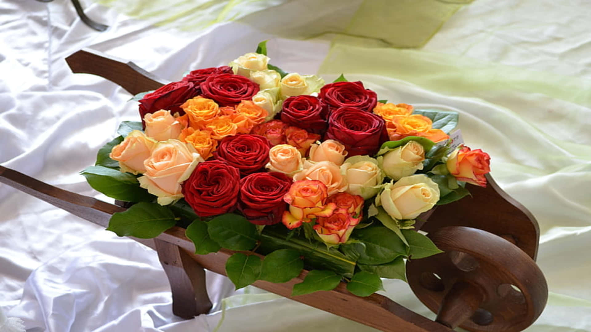 Rose Flower 桌布 壁紙 — 一架木製手推車，滿載鮮豔的紅、橙和奶油色玫瑰，放在一張皺巴巴的白色緞面床單上。