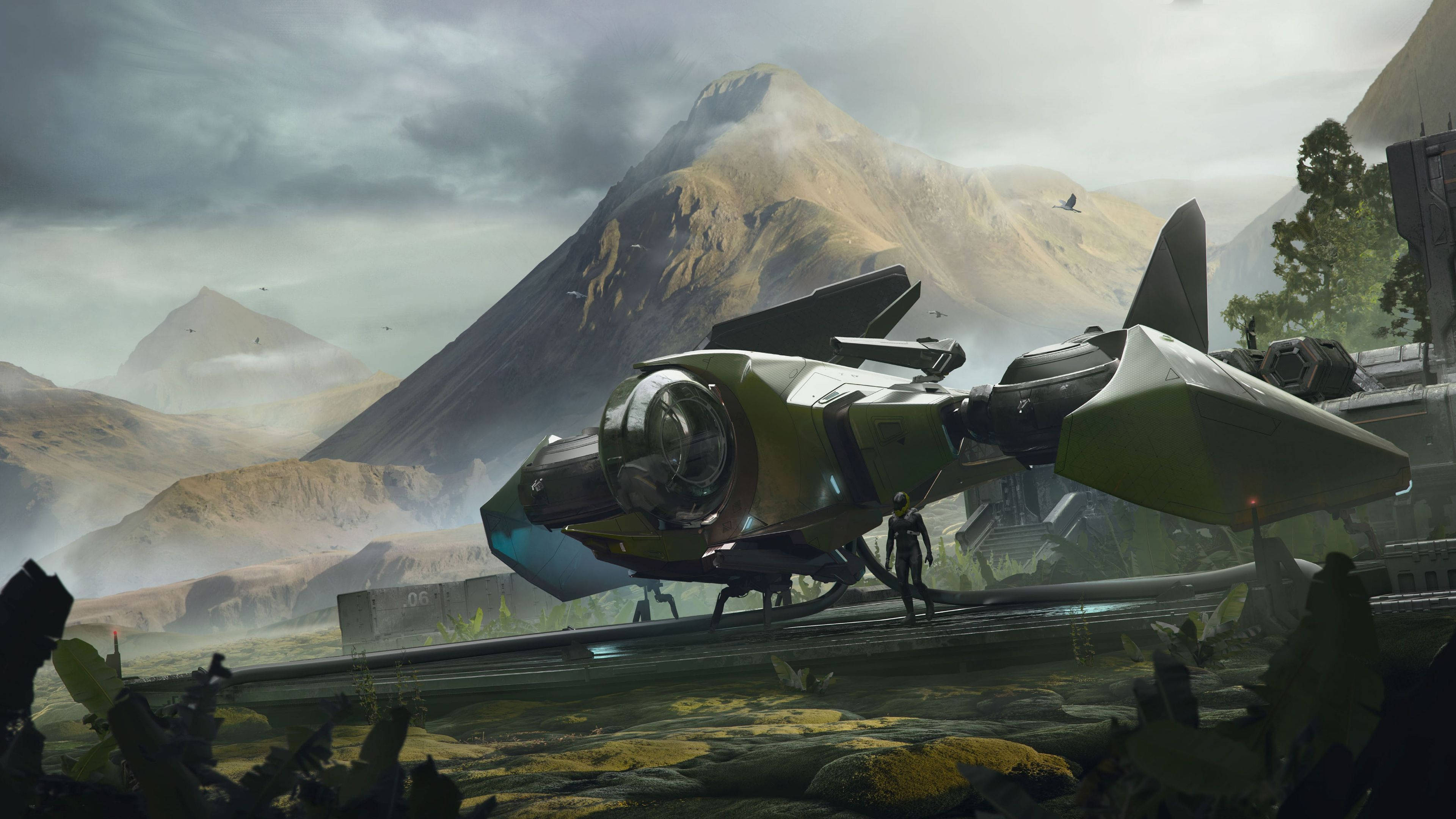 Star Citizen 桌布 壁紙 — 一架未來風格的綠色和黑色氣墊船停泊在一個長滿苔蘚的平台上，位於霧氣瀰漫的山谷中，旁邊站著一個孤獨的身影。