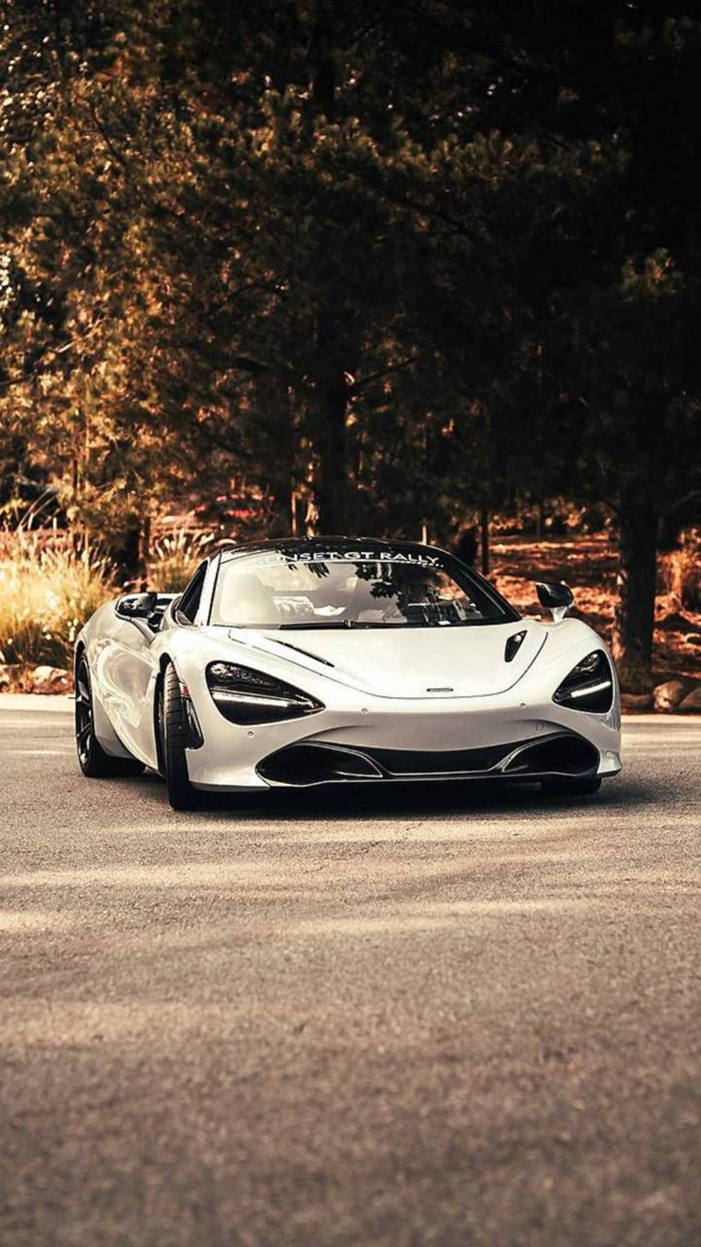 跑車 桌布 壁紙 — 一架流線型白色McLaren跑車停泊在陽光明媚的森林道路上，背景是金色的樹葉。
