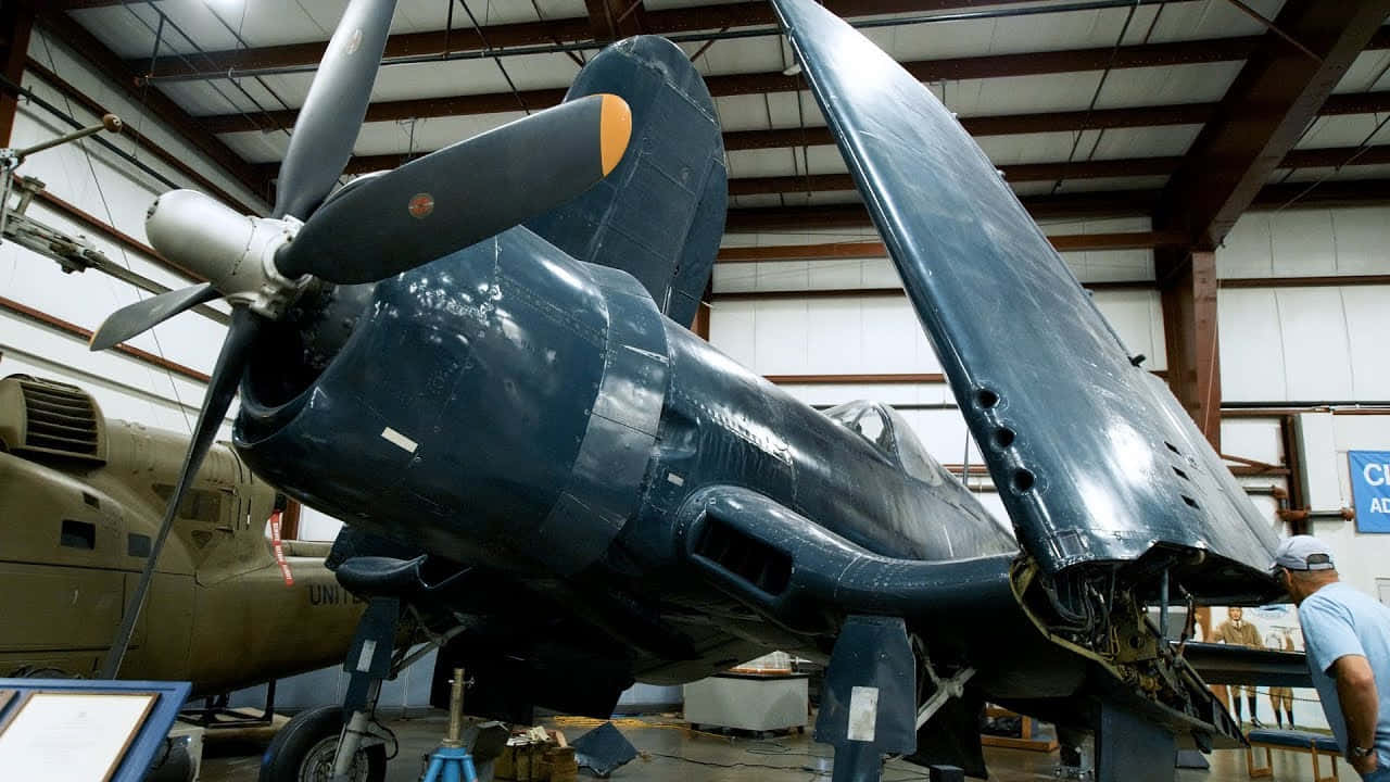 海盜船 桌布 壁紙 — 一架深藍色復古戰鬥機張開機翼，在一個大型機庫內展出，附近站著一名穿藍色襯衫的男子。