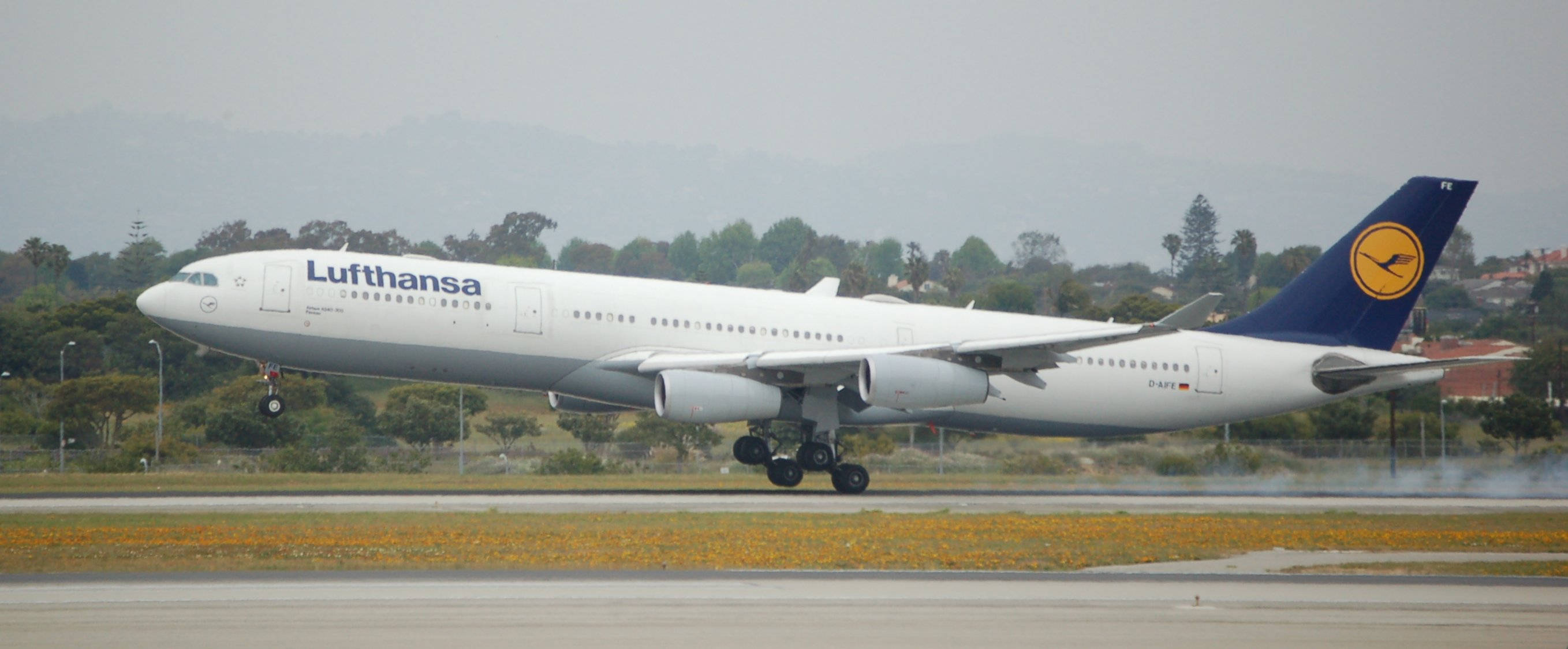 Airport 桌布 壁紙 — 一架漢莎航空空中巴士A340飛機在跑道上滑行，跑道旁有黃色花朵和遠處的山丘，天空多雲。