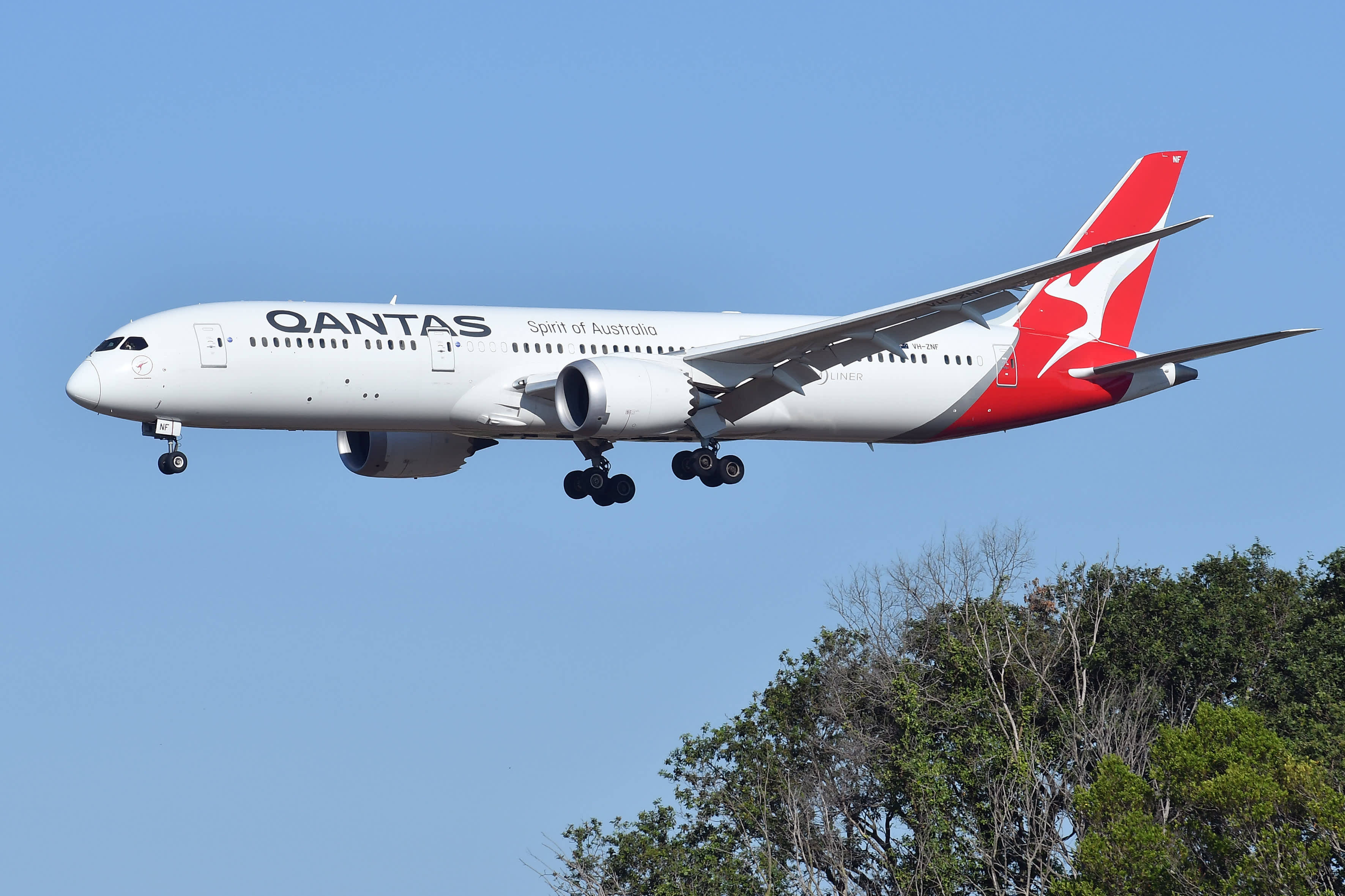 飛機 桌布 壁紙 — 一架澳洲航空Qantas Spirit of Australia波音787正在下降，起落架放下，背景是清澈的藍天，下方是綠色的樹梢。