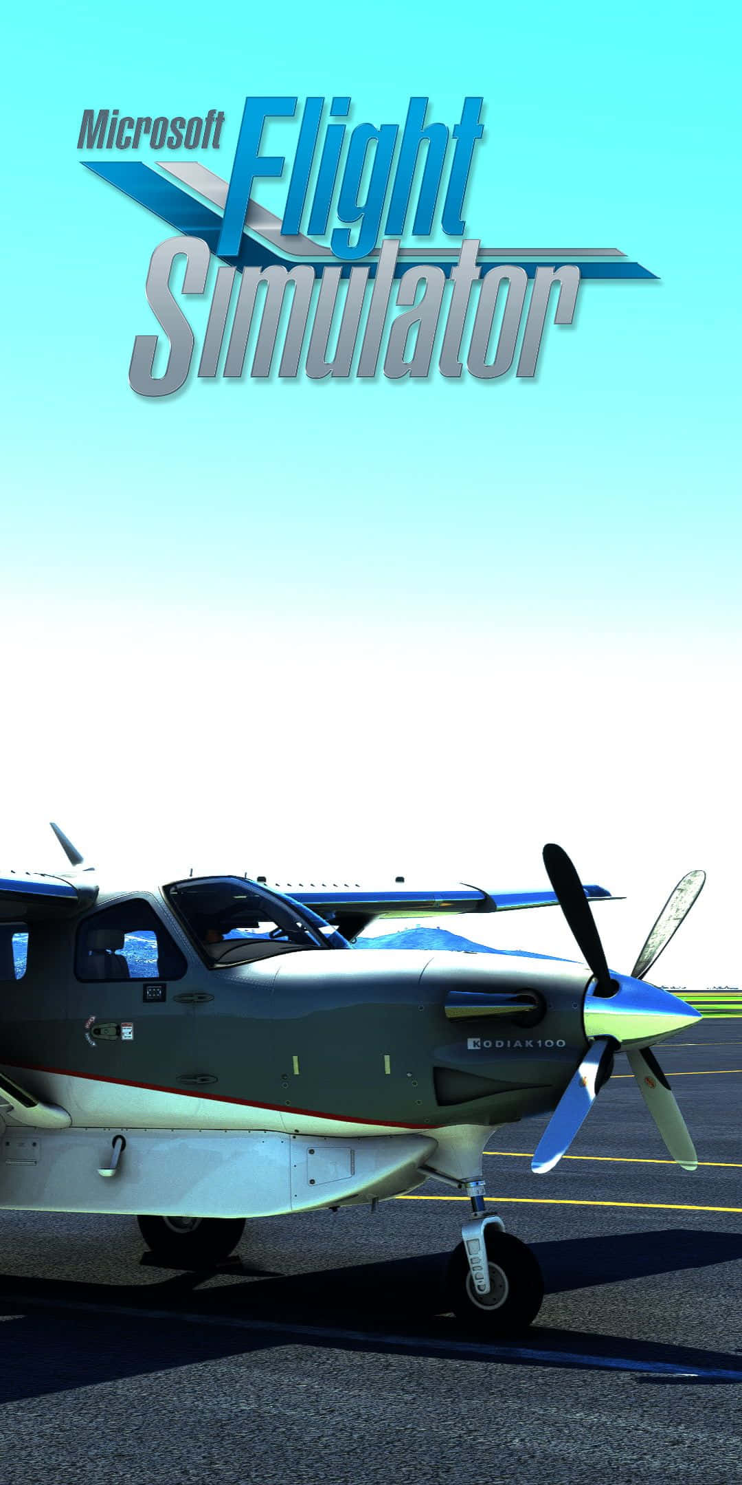 Pixel 3 Microsoft Flight Simulator 桌布 壁紙 — 一架灰色和白色的Cessna 172飛機停在跑道上，上方是晴朗的藍天，並帶有「Microsoft Flight Simulator」標誌。
