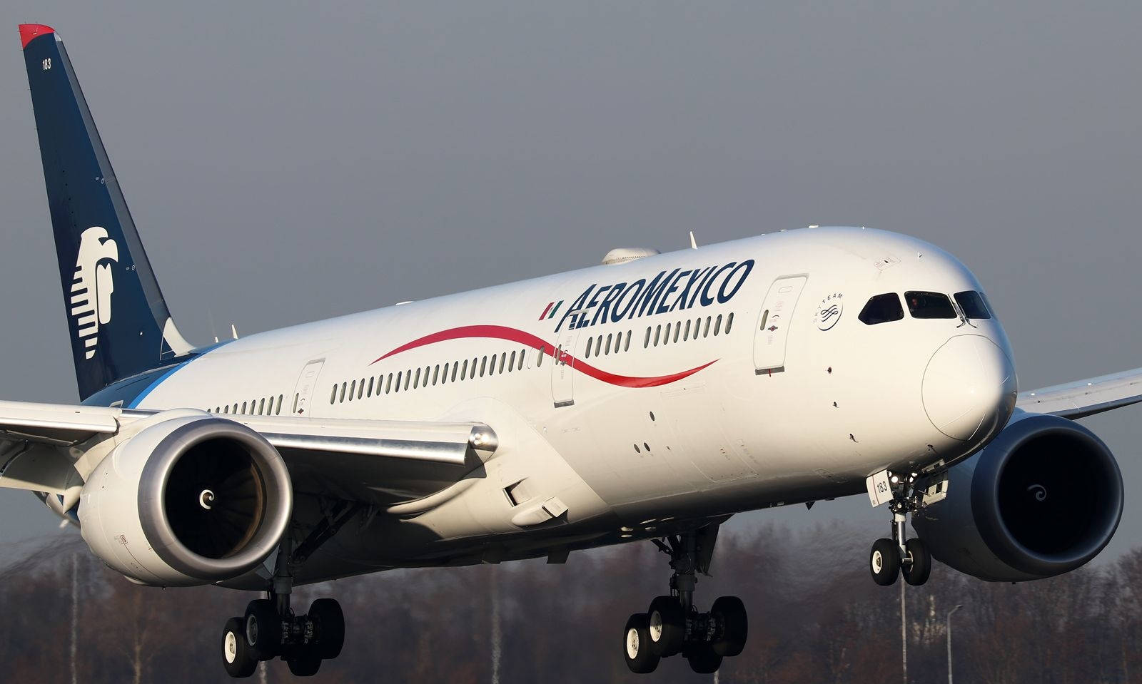 Plane 桌布 壁紙 — 一架白色、藍色和紅色塗裝的 Aeromexico 波音 787 夢幻客機在朦朧的天空中捕捉到降落時起落架放下的畫面。
