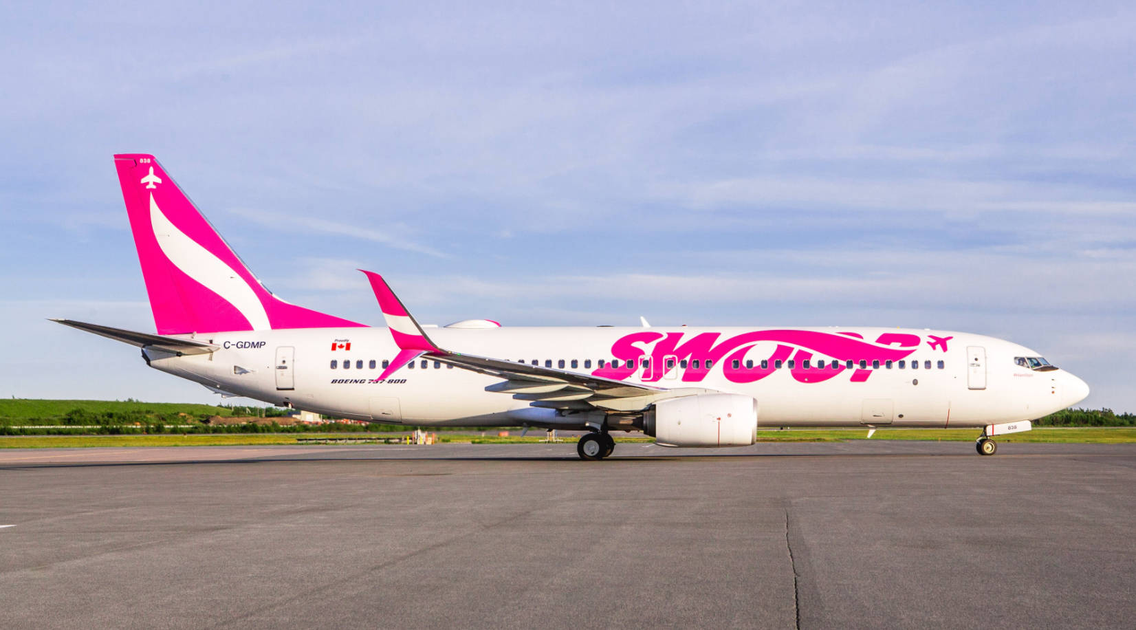飛機 桌布 壁紙 — 一架白色Swoop Airlines波音737，帶有鮮豔的粉紅色品牌標識，停在機場停機坪上，天空湛藍。
