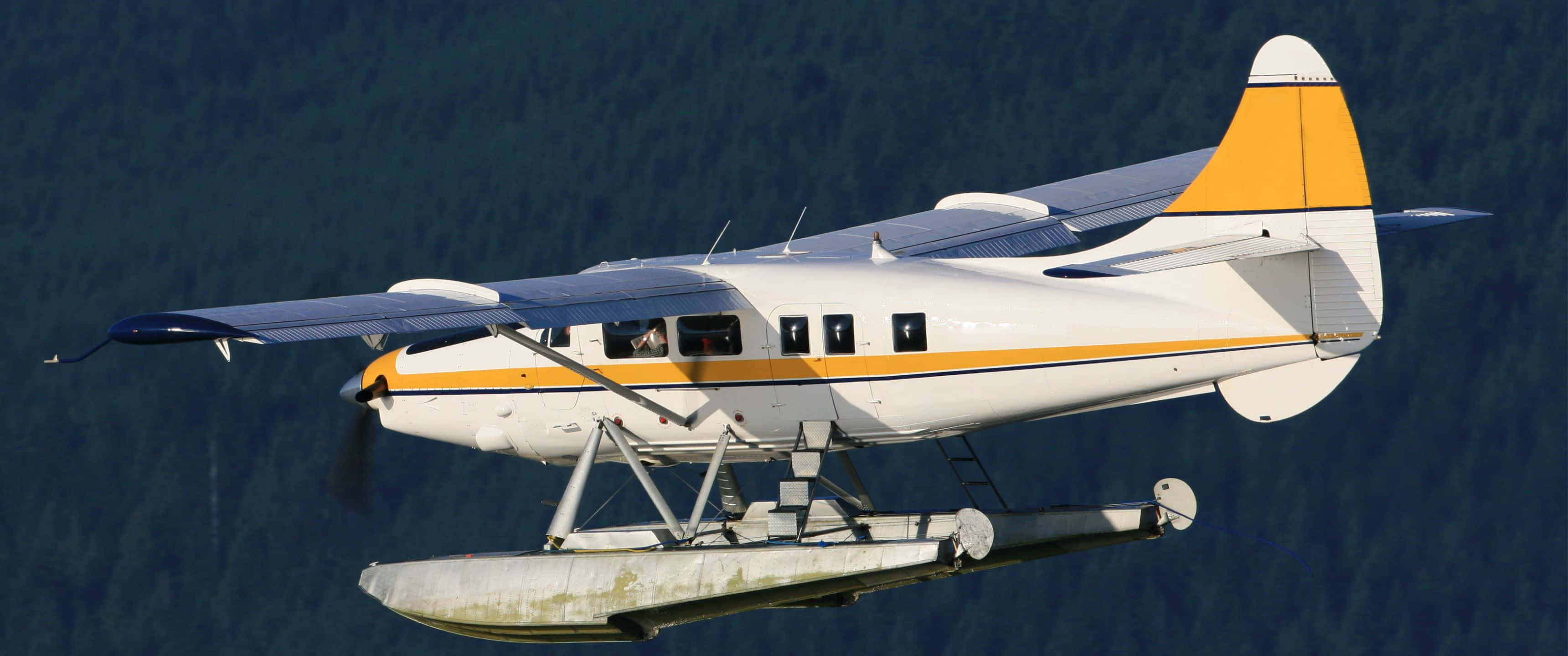 3440x1440p Small Planes 桌布 壁紙 — 一架白色和黃色、帶有浮筒的水上飛機，在茂密的綠色森林背景下翱翔。