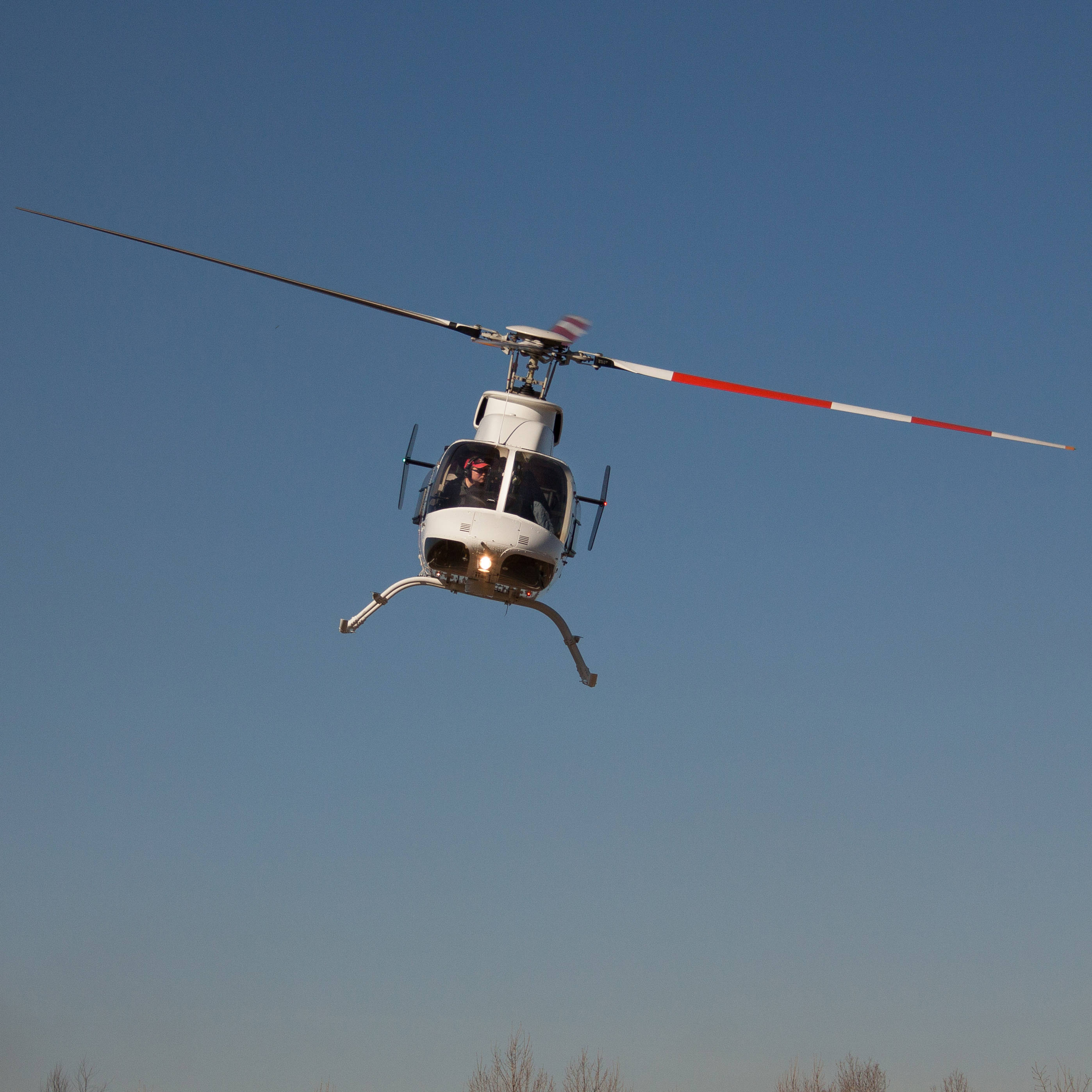 Helicopter 桌布 壁紙 — 一架白色直升機帶有紅白條紋的旋翼葉片，在清澈的藍天中盤旋，下方可見光禿的樹梢。