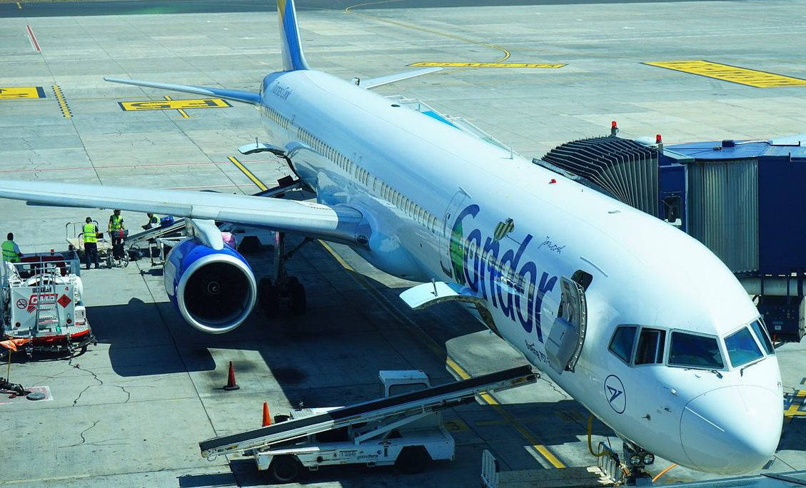 Airport 桌布 壁紙 — 一架神鷹航空飛機在明亮的日光下停泊在機場閘口，附近有地勤人員和設備。