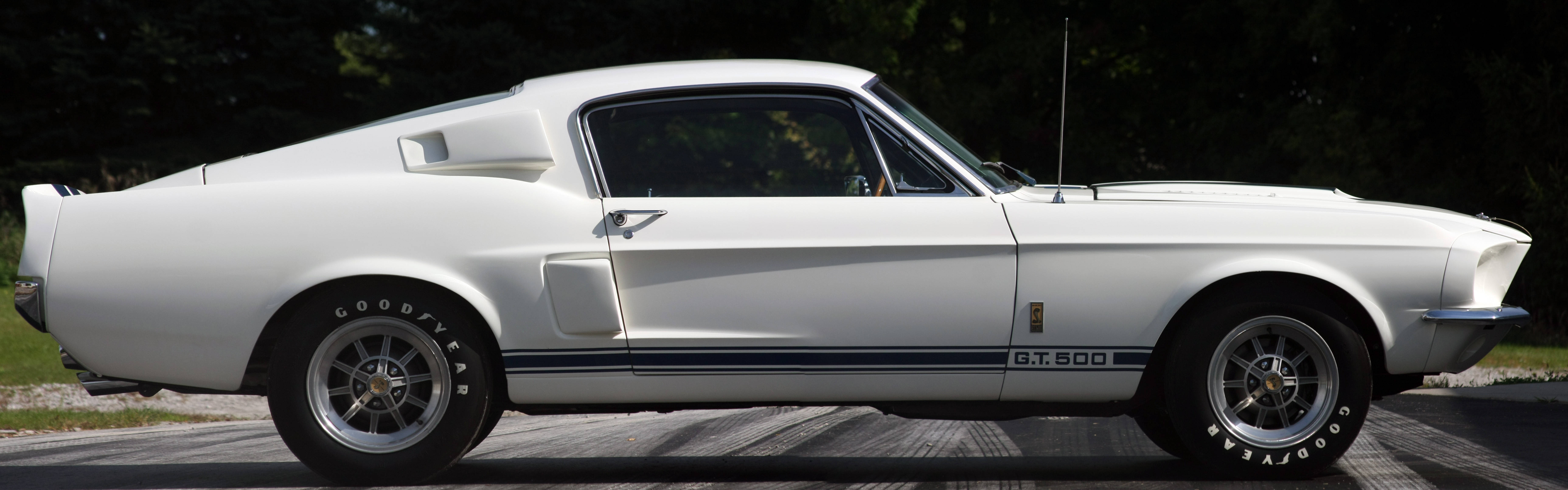 shelby iPhone 桌布 壁紙 — 一架純白色經典Shelby GT500肌肉車停泊在鋪砌路面上，背景有樹木。