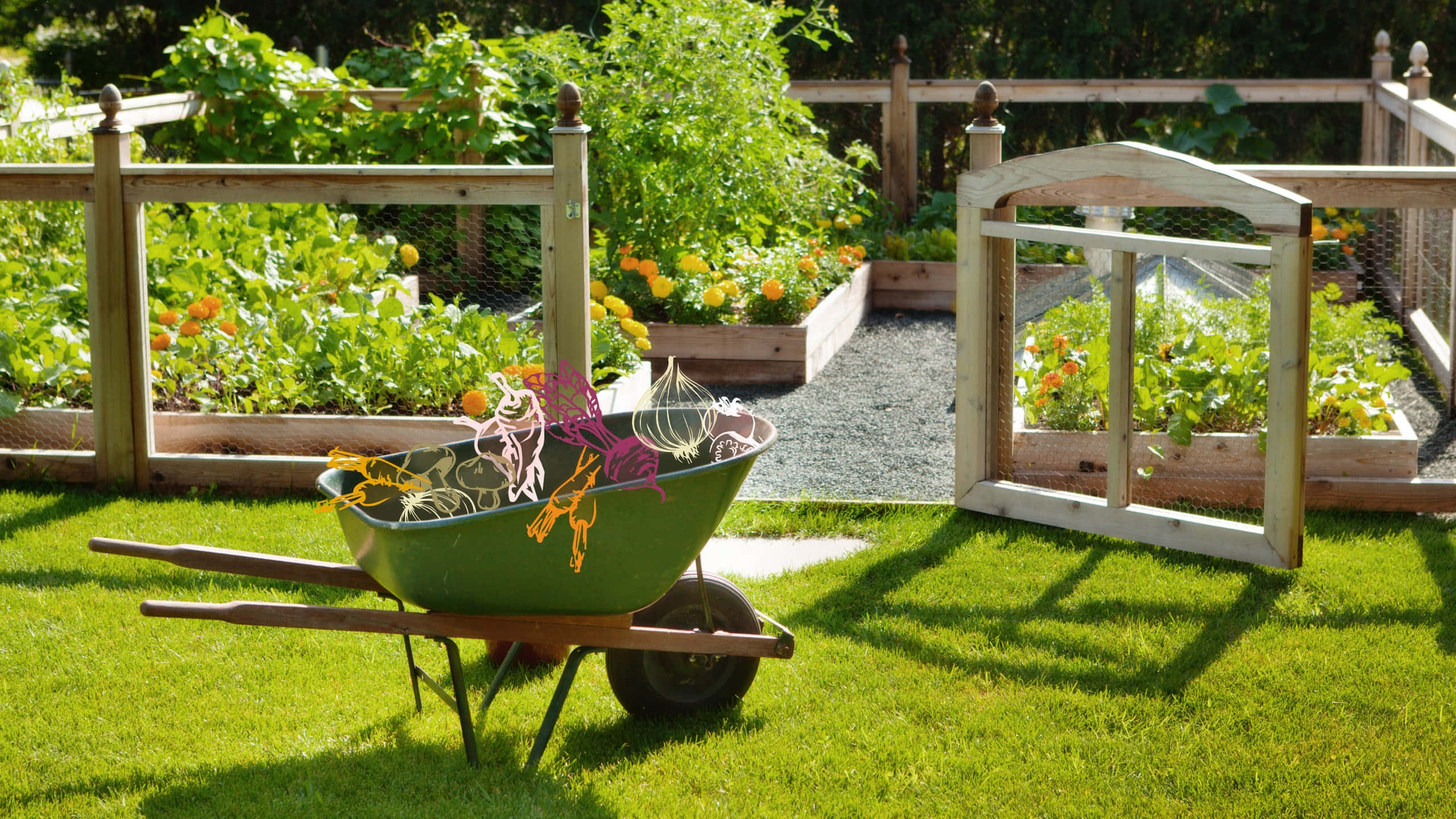 Cottage Garden 桌布 壁紙 — 一架綠色手推車裝滿了色彩繽紛的園藝工具，放在生機勃勃的草地上，前面是木製的高架花床，在明亮的陽光下長滿了綠葉蔬菜和橙色花朵。
