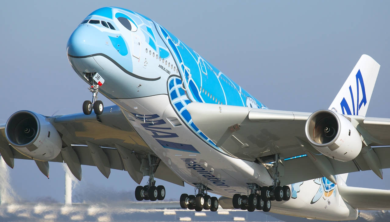 Turtle 桌布 壁紙 — 一架藍白相間的空中巴士A380，帶有地球塗裝，在晴朗的天空下起飛，起落架放下。