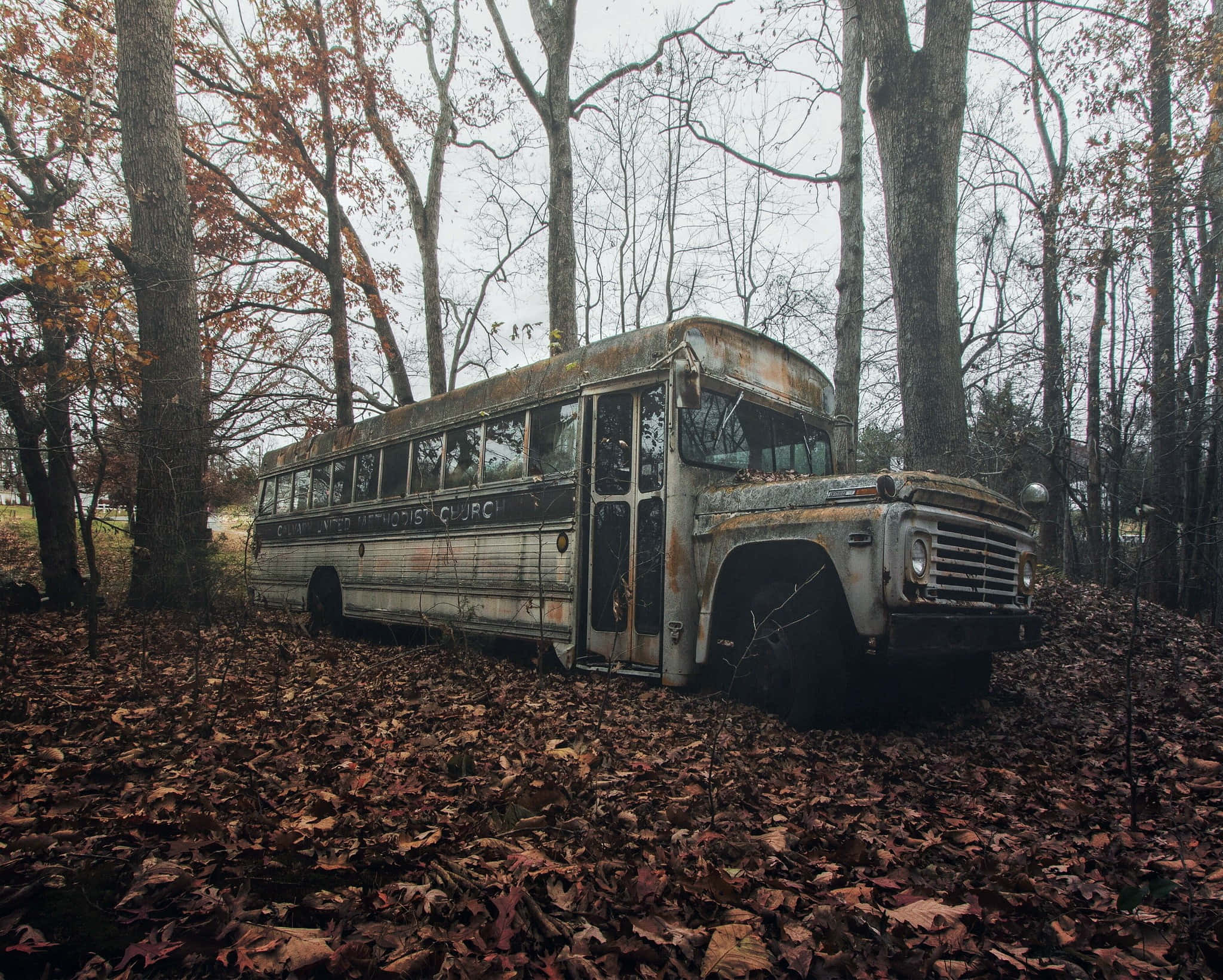 woods 桌布 壁紙 — 一架被遺棄的生鏽校車被遺忘在霧氣森林中，周圍是光禿禿的樹木和落下的秋葉。