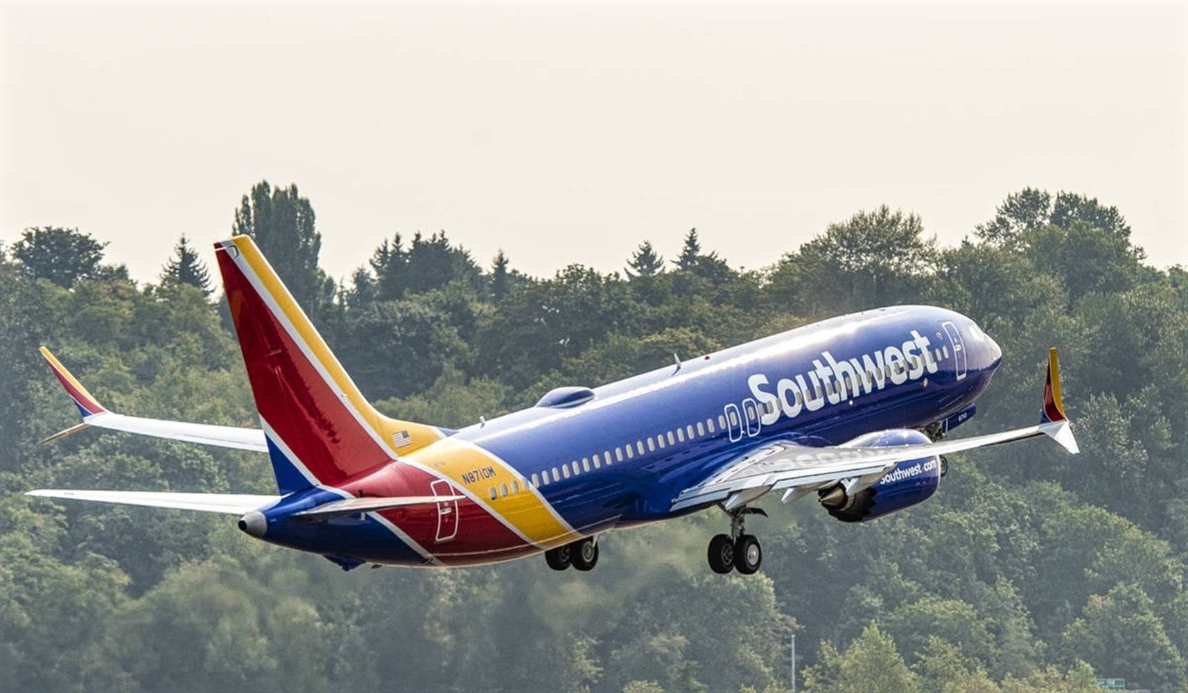 Plane 桌布 壁紙 — 一架西南航空波音737以鮮豔的藍、紅、黃塗裝，在茂密綠色森林的背景中攀升。