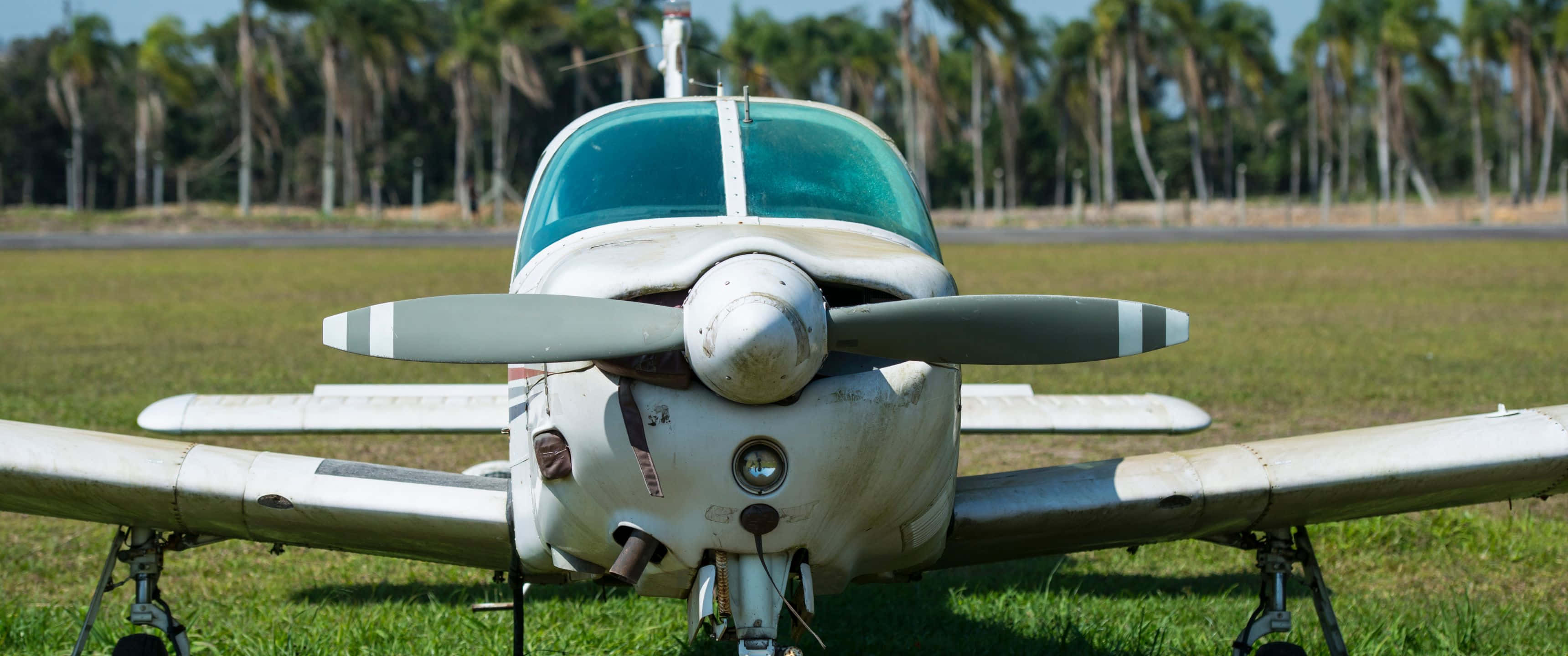 3440x1440p Small Planes 桌布 壁紙 — 一架風化的單引擎螺旋槳飛機停泊在草地上，背景有棕櫚樹，在明亮的日光下。