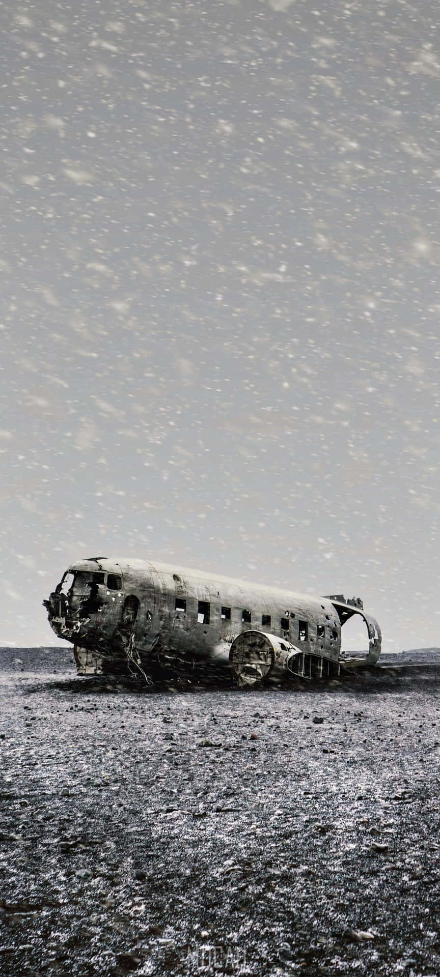  壁紙 — 一架風化的飛機殘骸被遺棄在雪地裡，天空灰濛濛，雪花飄落。