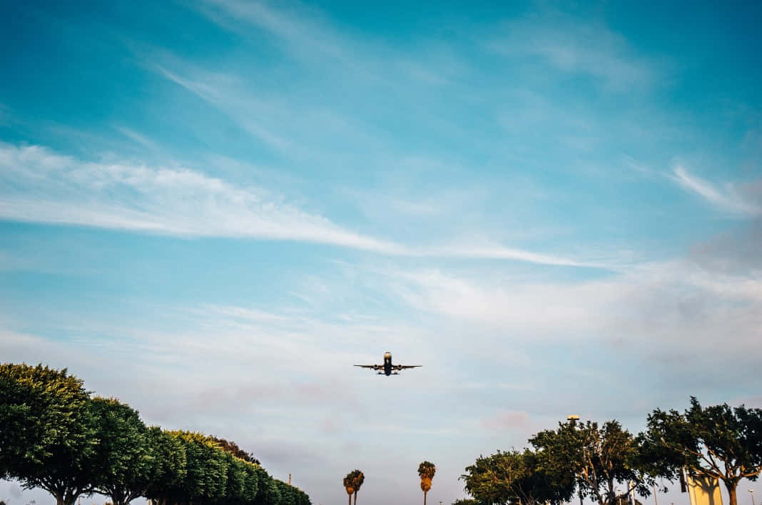 Plane 桌布 壁紙 — 一架飛機在一片廣闊的藍天中下降，天空中有縷縷薄雲，下方是一排綠樹。