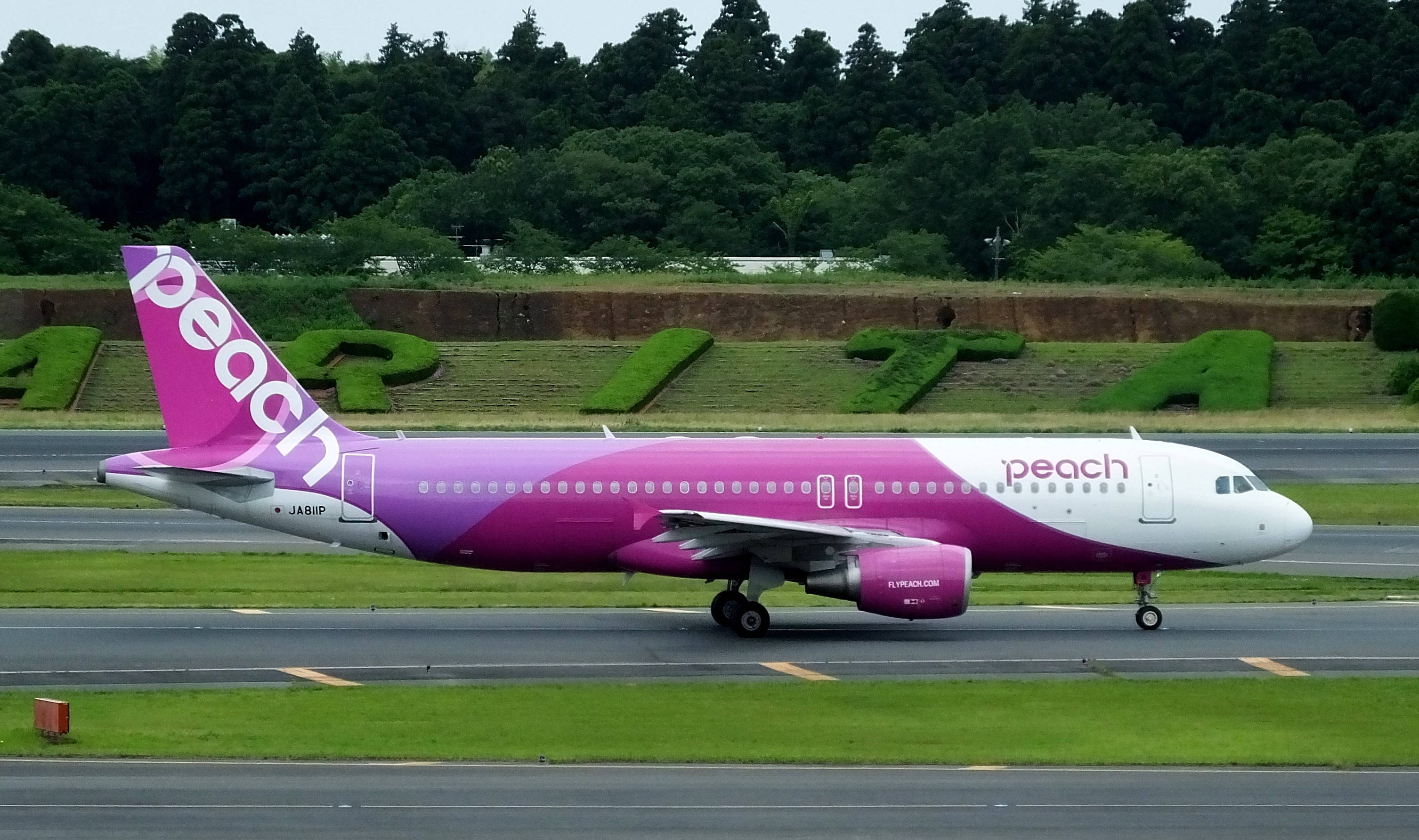 日本 桌布 壁紙 — 一架鮮粉紅色的Peach Airlines空中巴士A320在跑道上滑行，背景有茂密的綠色樹木和大型草地字母拼出「APITA」。