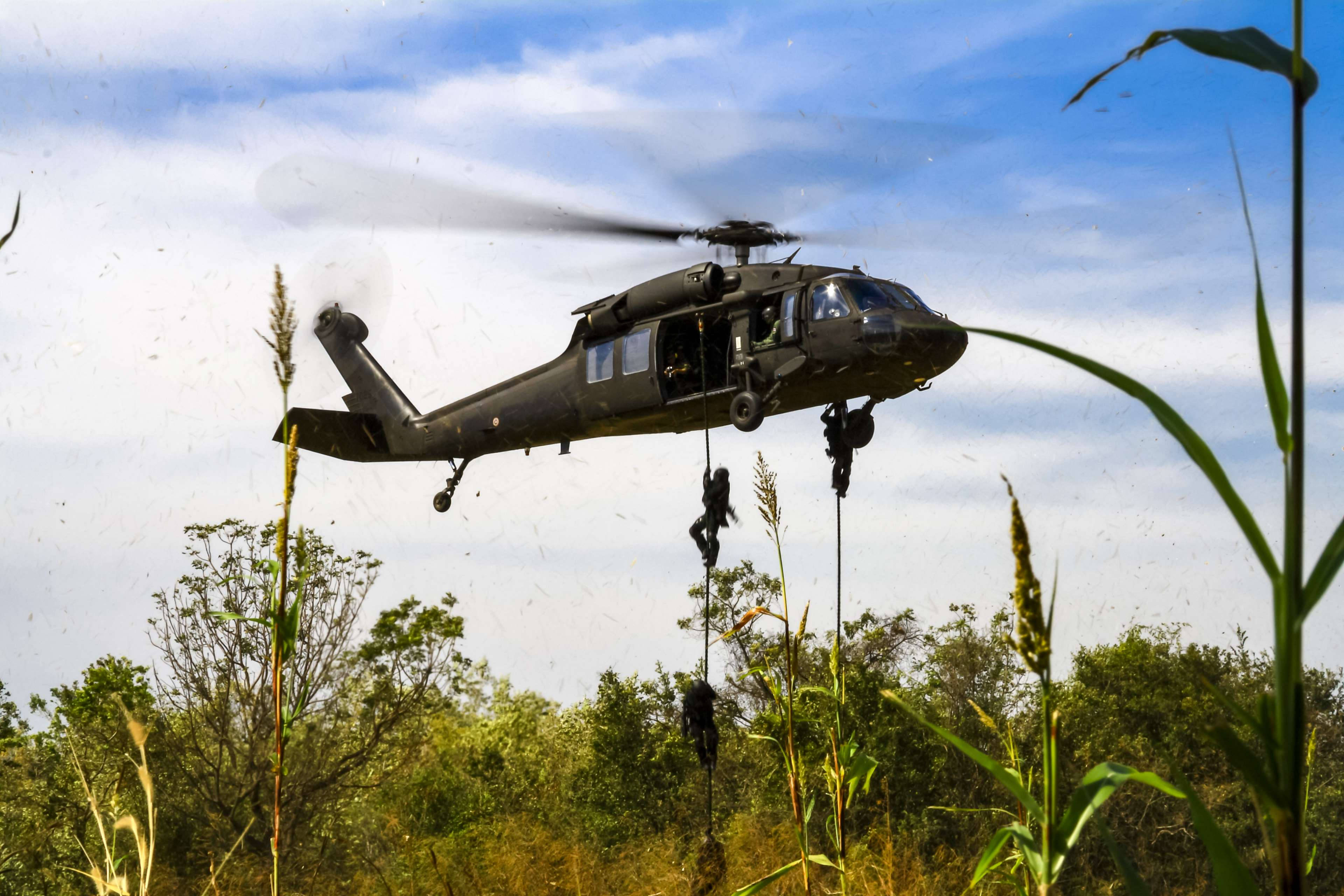 Helicopter 桌布 壁紙 — 一架黑色軍用直升機低空盤旋在高高的綠草上方，士兵們正沿繩索快速下降至森林地面。
