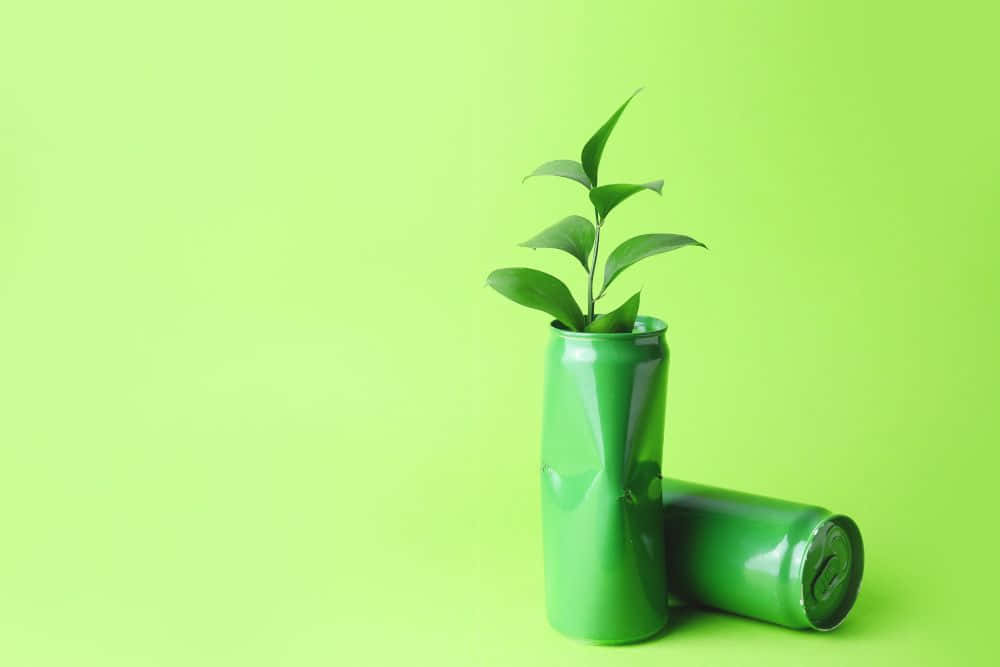 Sustainability 桌布 壁紙 — 一株充滿活力的綠色嫩芽從一個壓扁的綠色汽水罐中冒出，背景是純粹的青檸綠色。