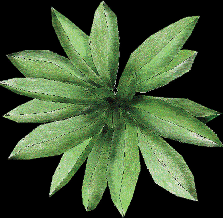 樹木 桌布 壁紙 — 一株充滿活力的綠色葉狀植物在純黑色背景上以對稱的星爆圖案向外輻射。