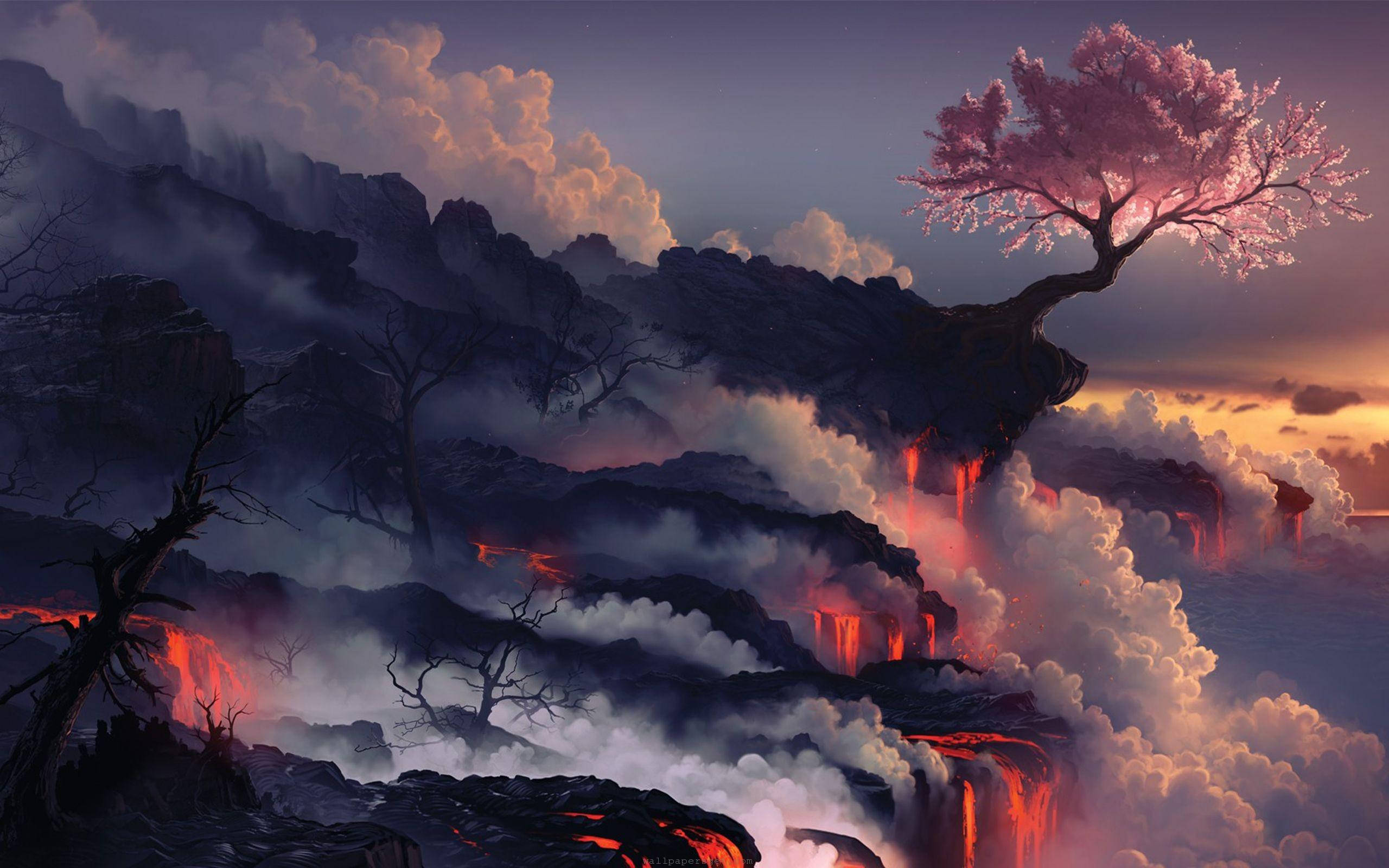 Outlook 桌布 壁紙 — 一株孤獨的櫻花樹在火山懸崖頂上頑強地綻放，熔岩在暮色中穿過霧氣雲層傾瀉而下。