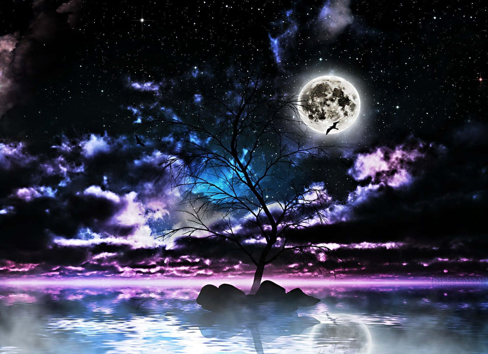 月亮與星星 桌布 壁紙 — 一株孤獨的裸樹矗立在平靜湖面的岩石上，上方是閃耀的滿月和充滿活力的紫藍色星空。