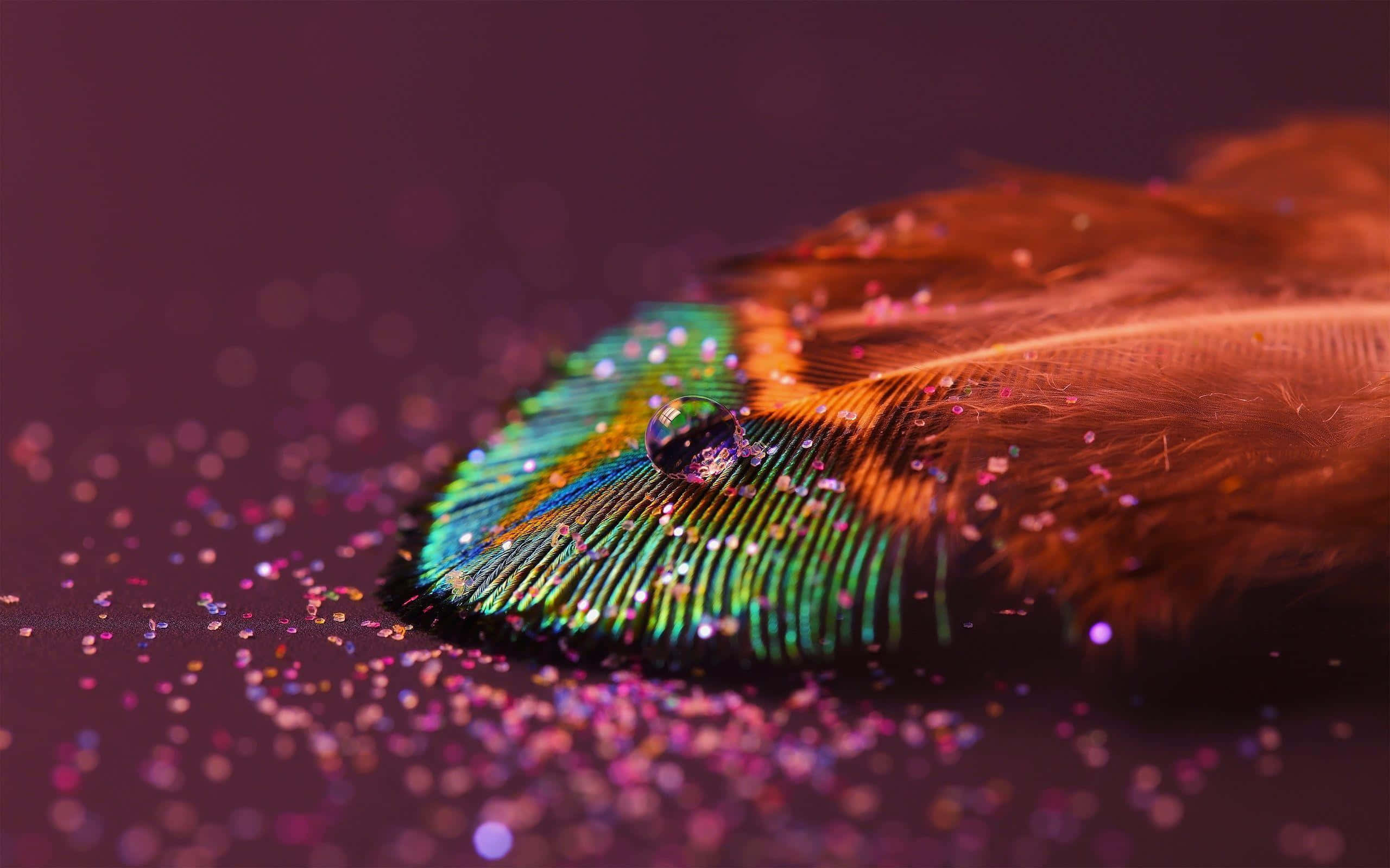 Peacock Feather 桌布 壁紙 — 一根充滿活力的孔雀羽毛，帶有虹彩綠色和金色色調，躺在紫色亮粉床上，頂端有一顆閃閃發光的水滴。