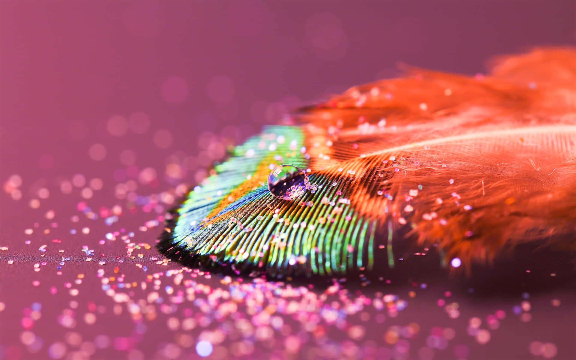 Feather 桌布 壁紙 — 一根充滿活力的孔雀羽毛上掛著露珠，放在閃閃發光的粉紅色亮片上，背景是柔和的紫色。