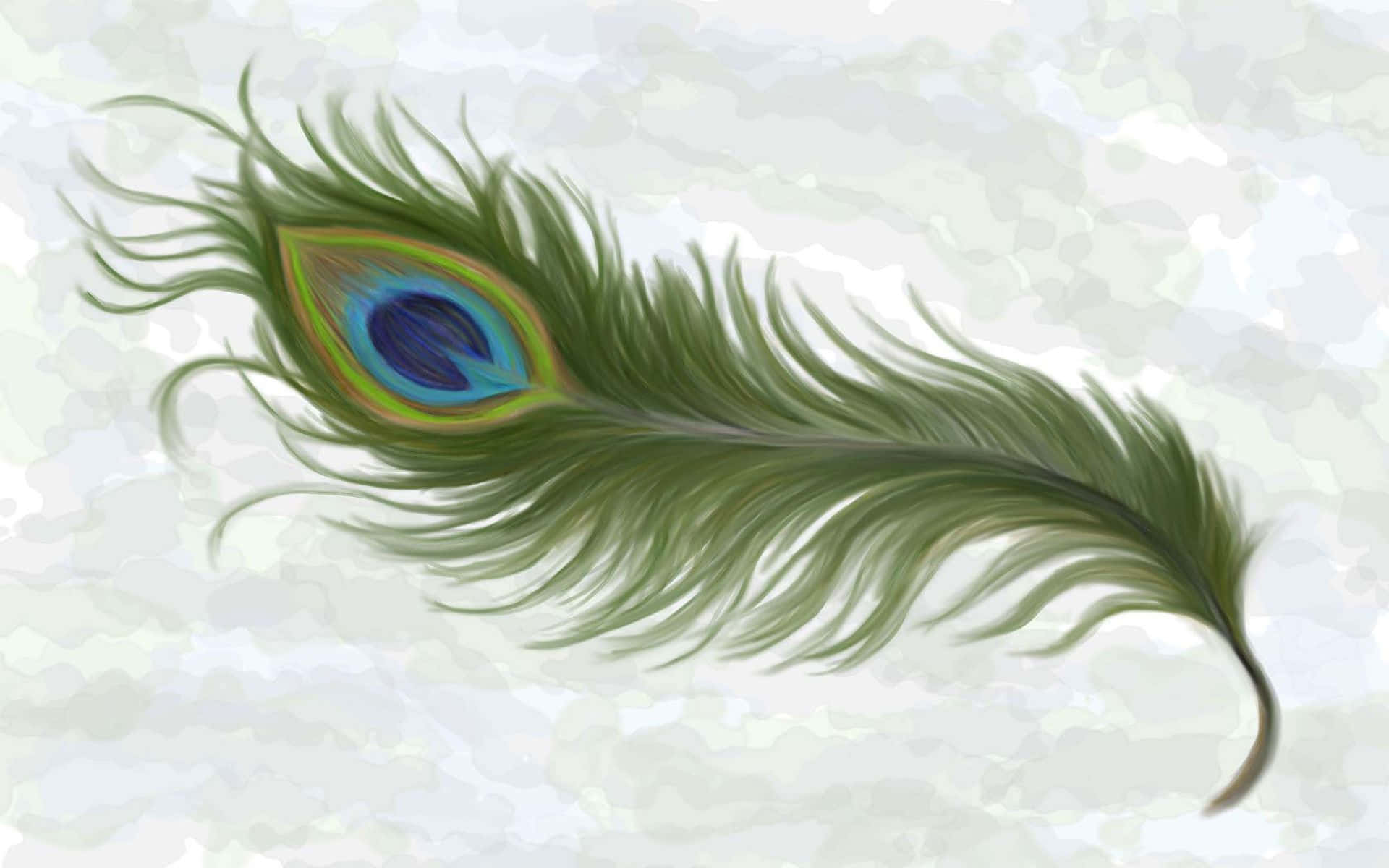 Peacock Feather 桌布 壁紙 — 一根孔雀羽毛，帶有虹彩藍綠色和金色的眼狀圖案，放置在柔軟有紋理的白色背景上。