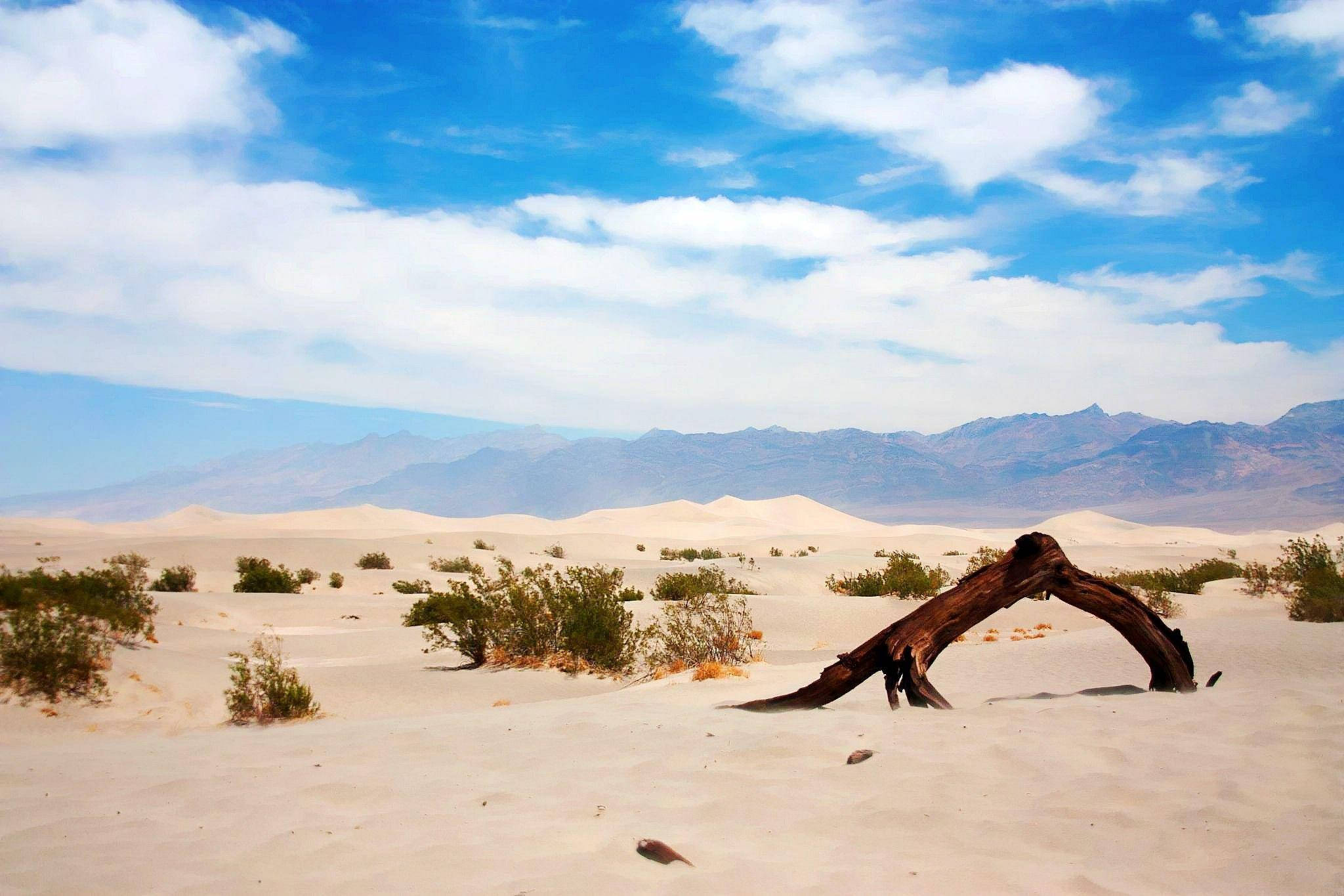 Desert 桌布 壁紙 — 一根孤獨彎曲的樹幹躺在廣闊的白色沙丘沙漠中，上方是明亮的藍天，點綴著蓬鬆的雲朵和遠山。
