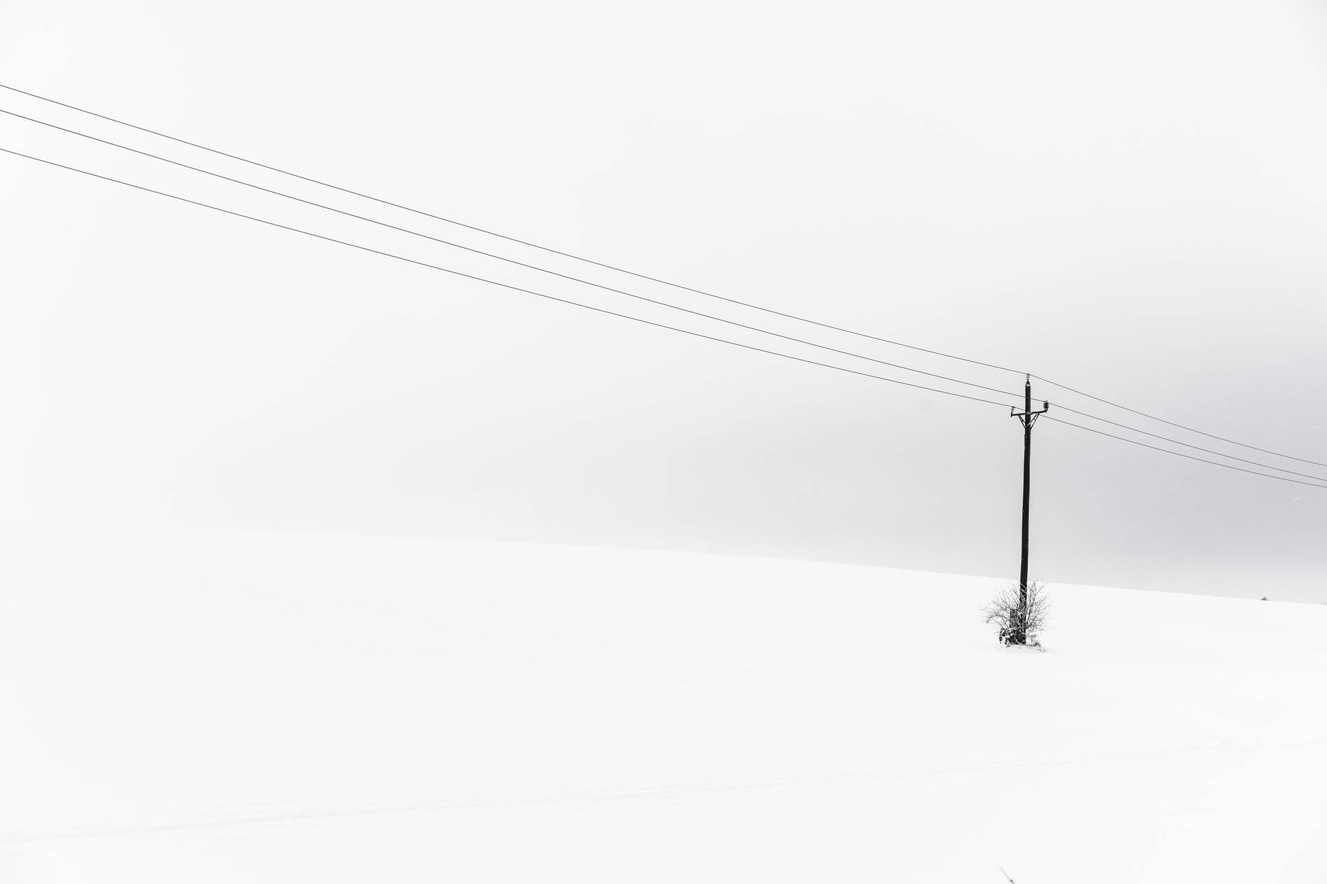 灰色天空下，雪地中的一根孤獨電線杆。