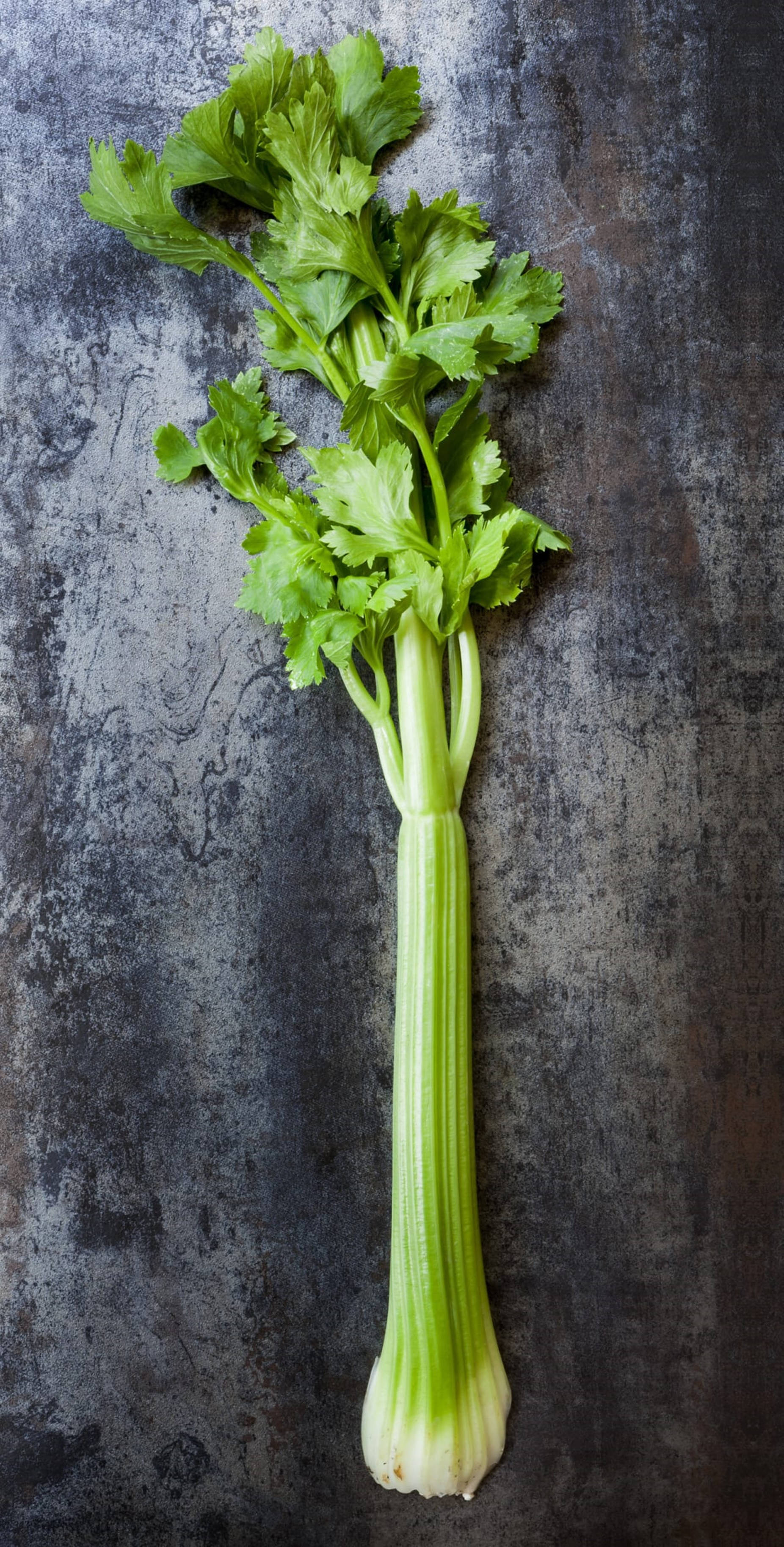 Healthy Food 桌布 壁紙 — 一根新鮮的芹菜莖，帶有充滿活力的綠葉，放在有紋理的深灰色表面上。