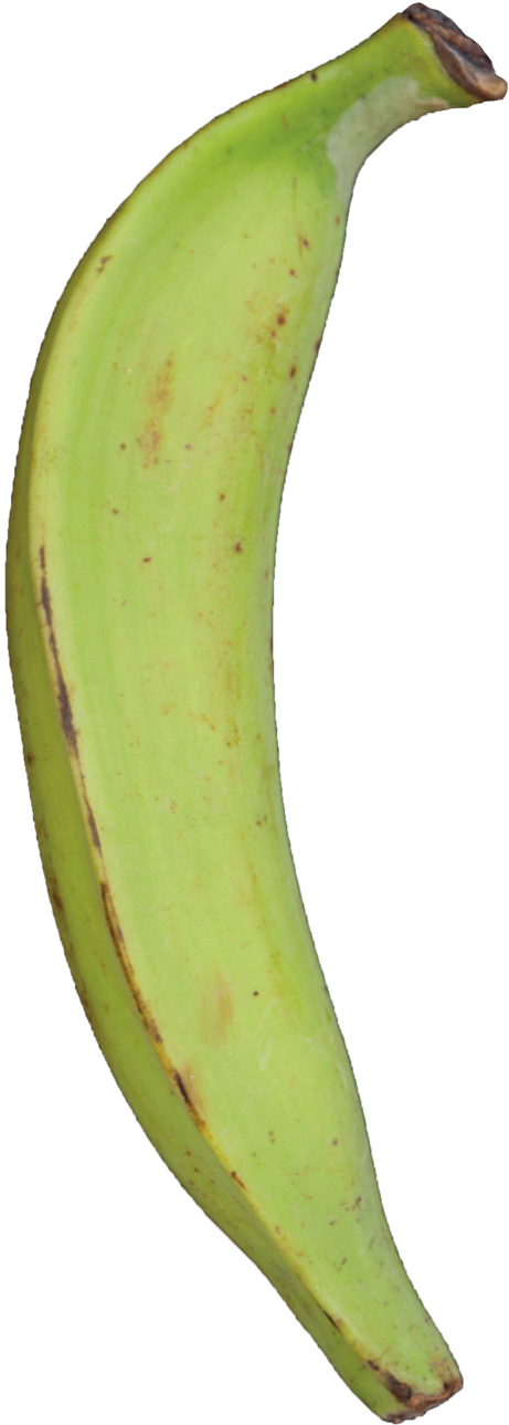 Plantain 桌布 壁紙 — 一根未成熟的綠色香蕉帶有棕色斑點，在純黑色背景上彎曲。