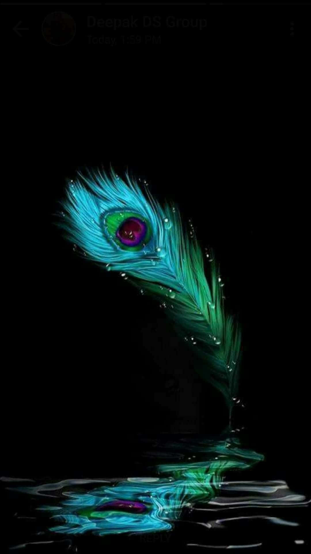 Peacock Feather 桌布 壁紙 — 一根發光的孔雀羽毛，帶有虹彩藍綠色調和水滴，漂浮在黑暗的水面上，投射出鮮明的倒影。