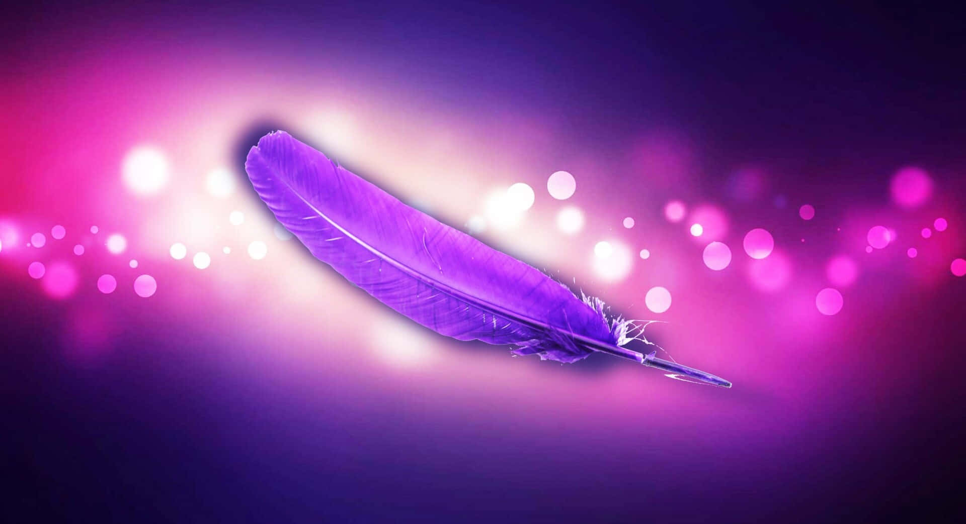 Purple Feathers 桌布 壁紙 — 一根發光的紫色羽毛在粉紅色和紫色的夢幻散景光漸變背景中優雅地飄浮。