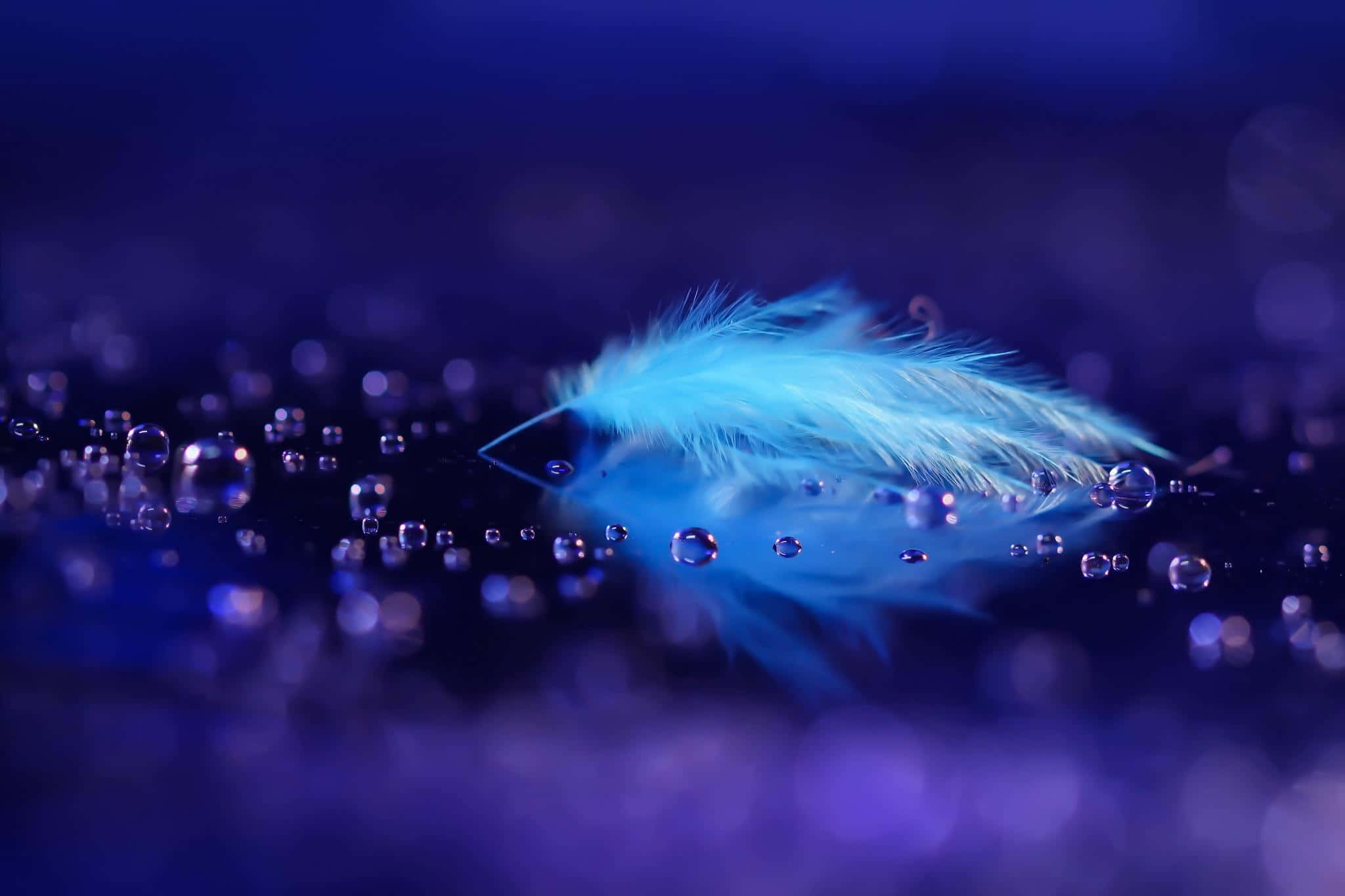 Feather 桌布 壁紙 — 一根發光的藍色羽毛在深紫色燈光下，輕輕漂浮在點綴著閃爍氣泡的水面上。