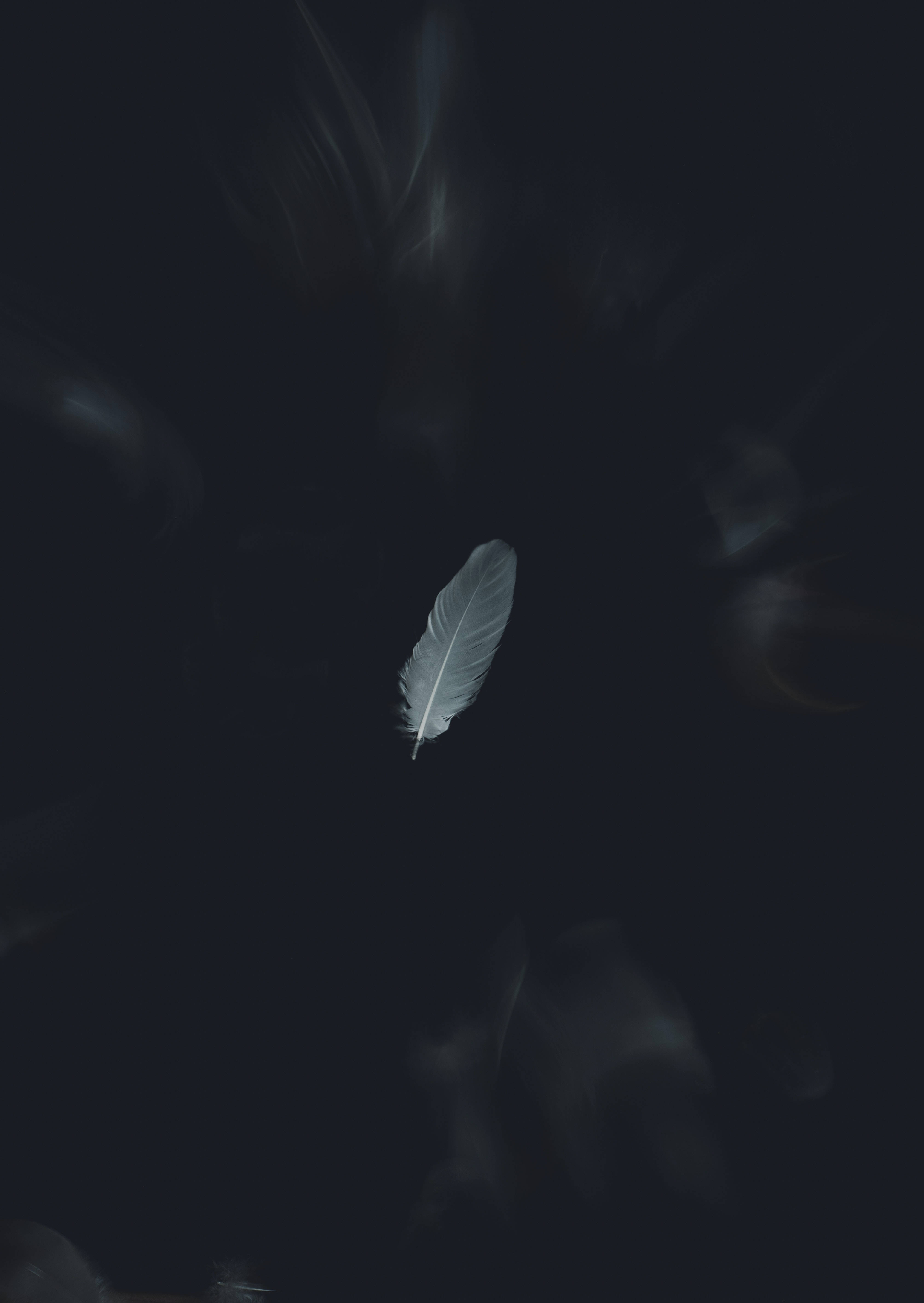 蘋果 桌布 壁紙 — 一根白色羽毛在黑暗模糊的背景上，伴隨著柔和的光跡，寧靜地漂浮。