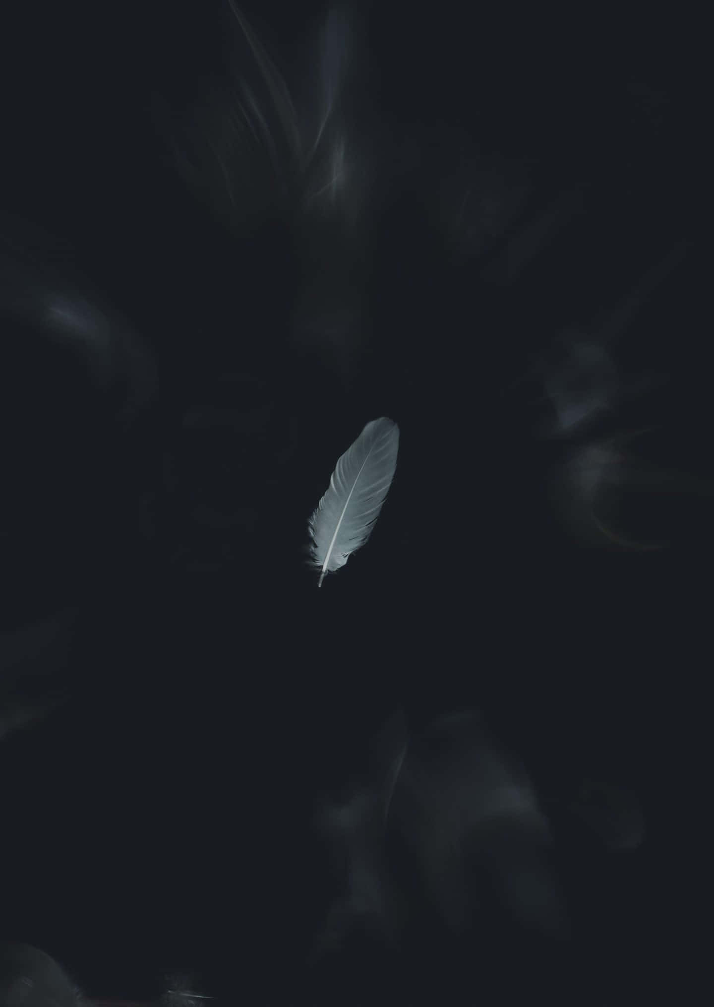 桌布 壁紙 — 一根白色羽毛在黑暗煙霧背景中靜靜漂浮，邊緣帶有柔和光芒。