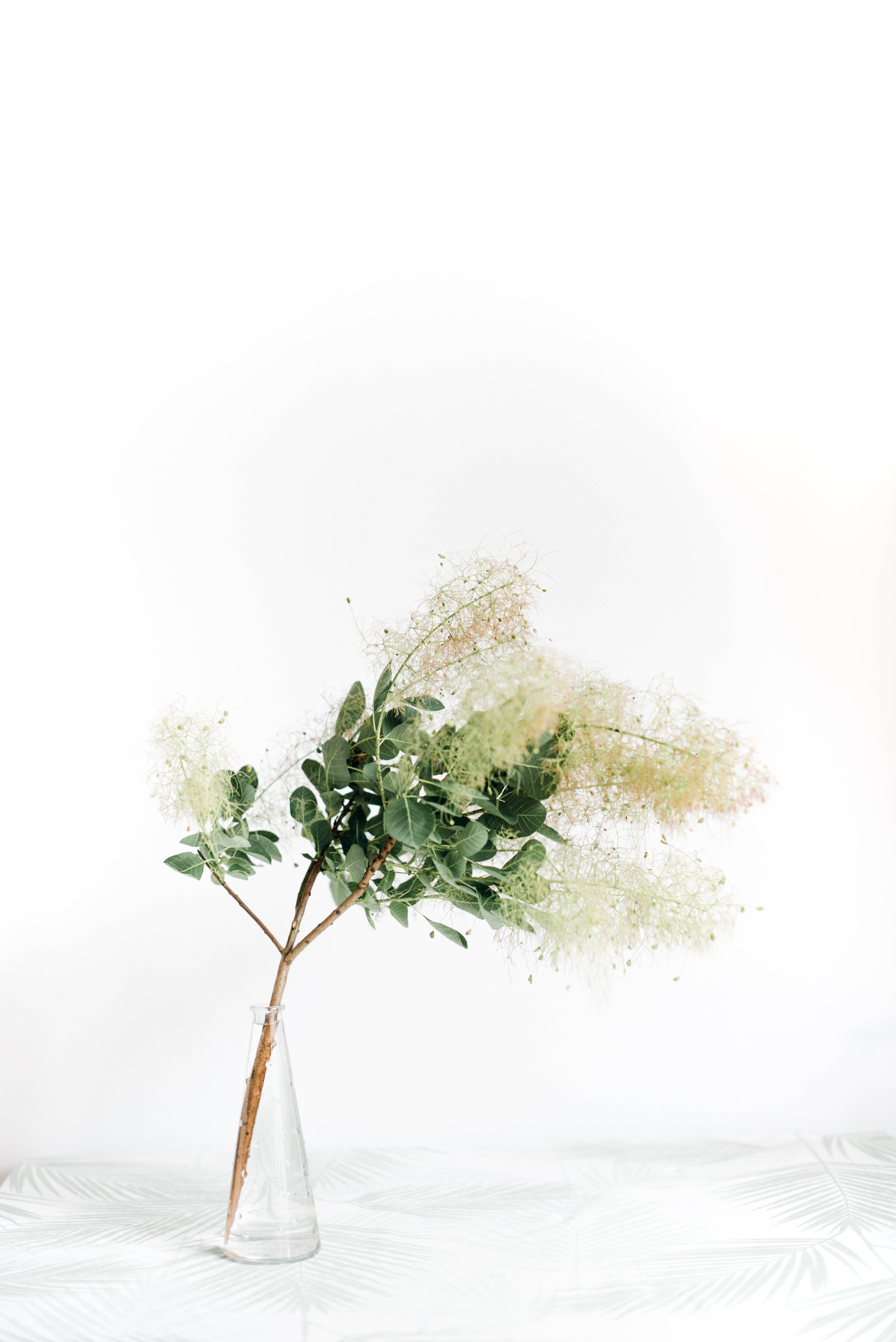 Green Floral 桌布 壁紙 — 一根精緻的樹枝，帶有綠葉和羽毛般的白色花朵，放在透明玻璃花瓶裡，置於白色紋理表面上。