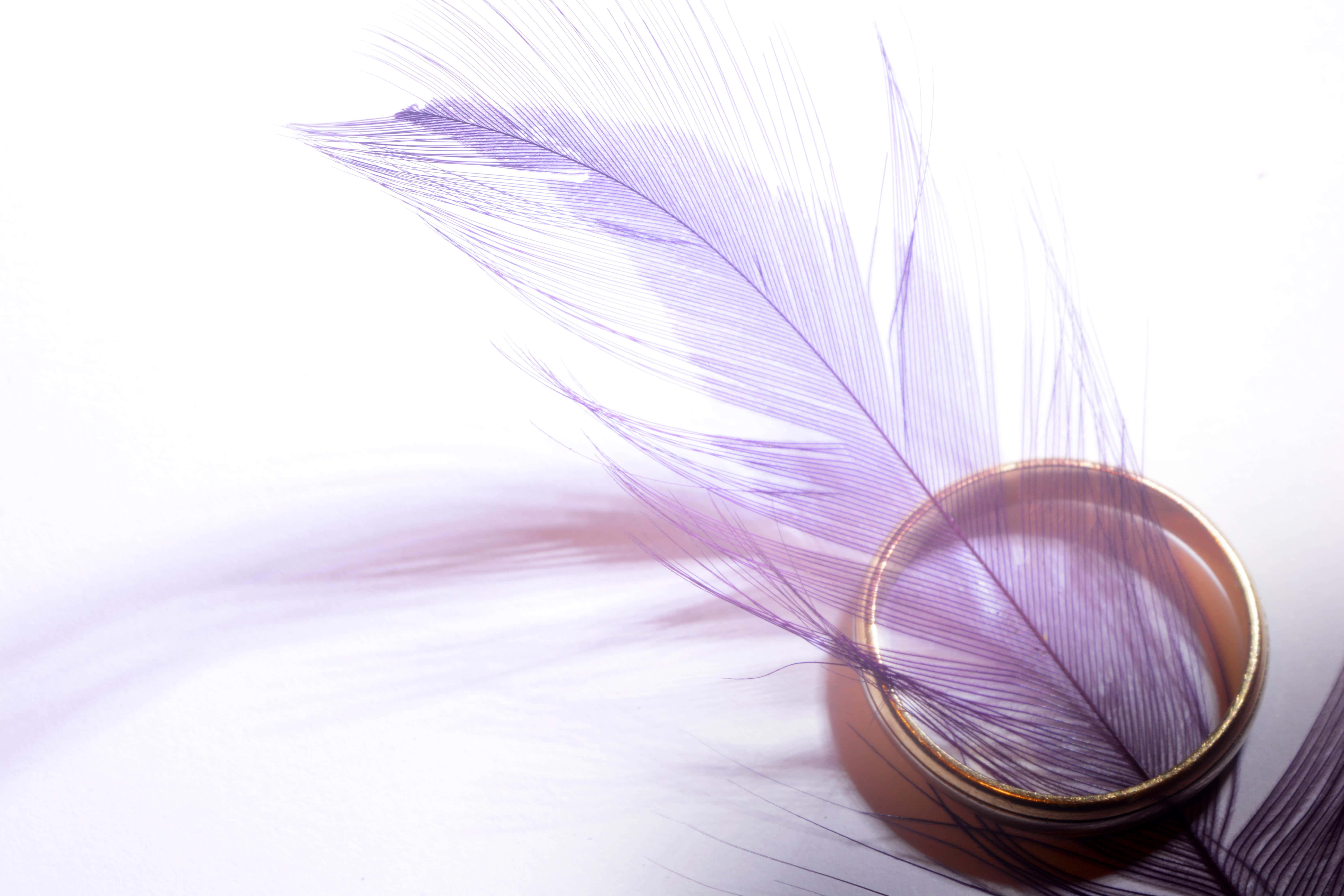 Purple Feathers 桌布 壁紙 — 一根精緻的紫色羽毛放在一個明亮的白色表面上，旁邊是一枚金戒指。