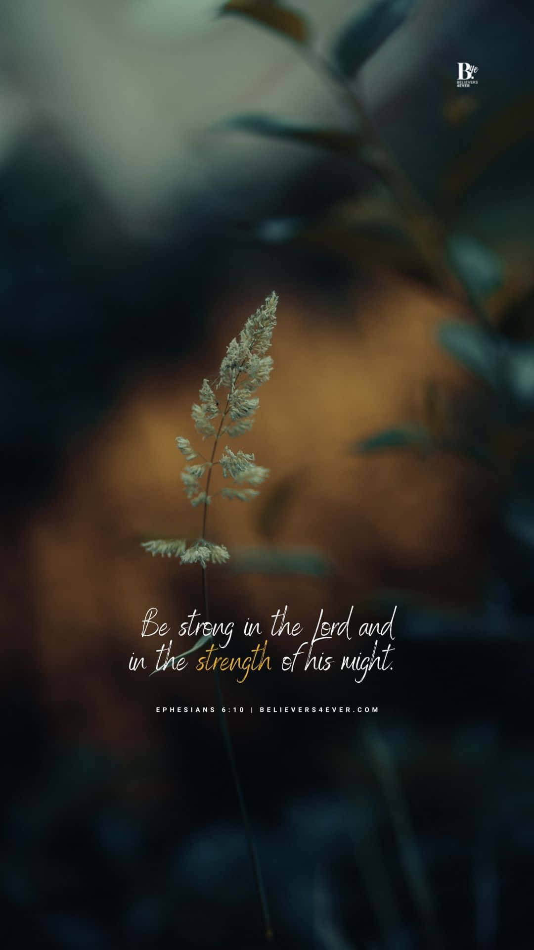 Girly Bible Verse 桌布 壁紙 — 一根纖細的草莖高高聳立，背景是柔和模糊的森林，溫暖的金色光線穿透而過。