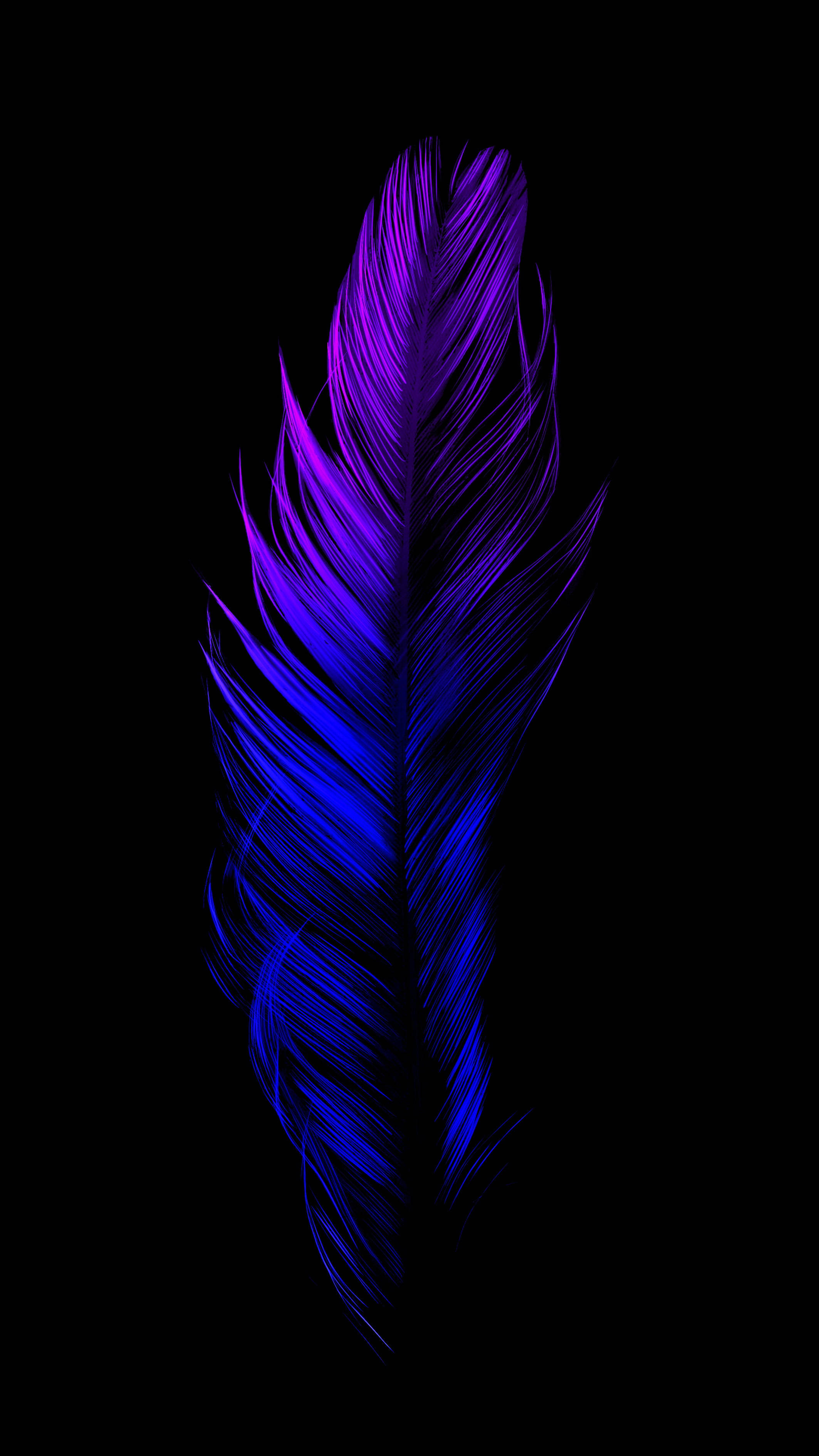 Aesthetic Dark Blue 桌布 壁紙 — 一根羽毛在純黑背景上閃耀著電光藍和紫色調。