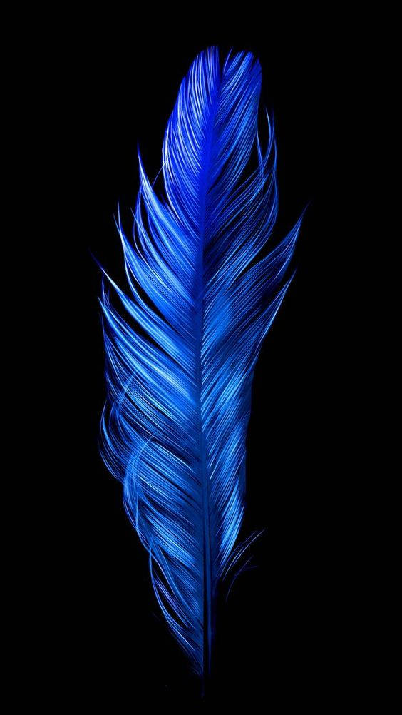 dark blue aesthetic tumblr 桌布 壁紙 — 一根閃耀的藍色羽毛在純黑背景上發光，沿著羽枝有複雜的光紋。