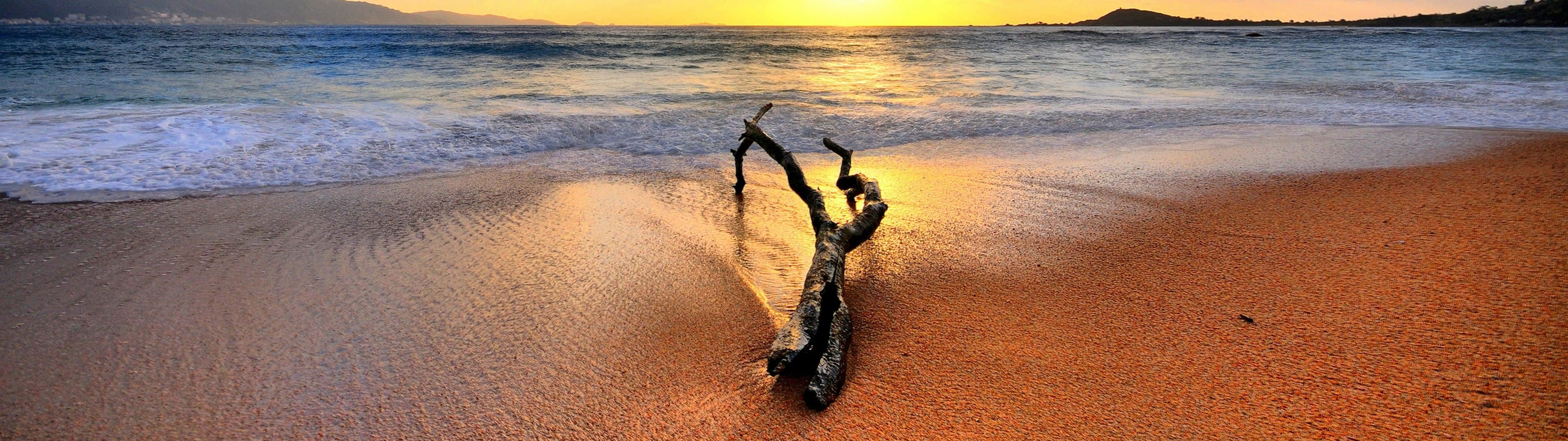 Beach Dual Monitor 桌布 壁紙 — 一根風化的浮木躺在金色的沙灘上，海浪在熾熱的日落天空下翻滾。