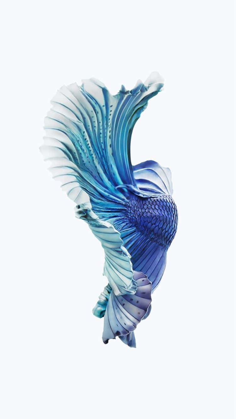 iPhone 6s 桌布 壁紙 — 一條令人驚豔的藍色鬥魚，擁有流暢的魚鰭和精緻的鱗片，在純白色背景上優雅地游動。
